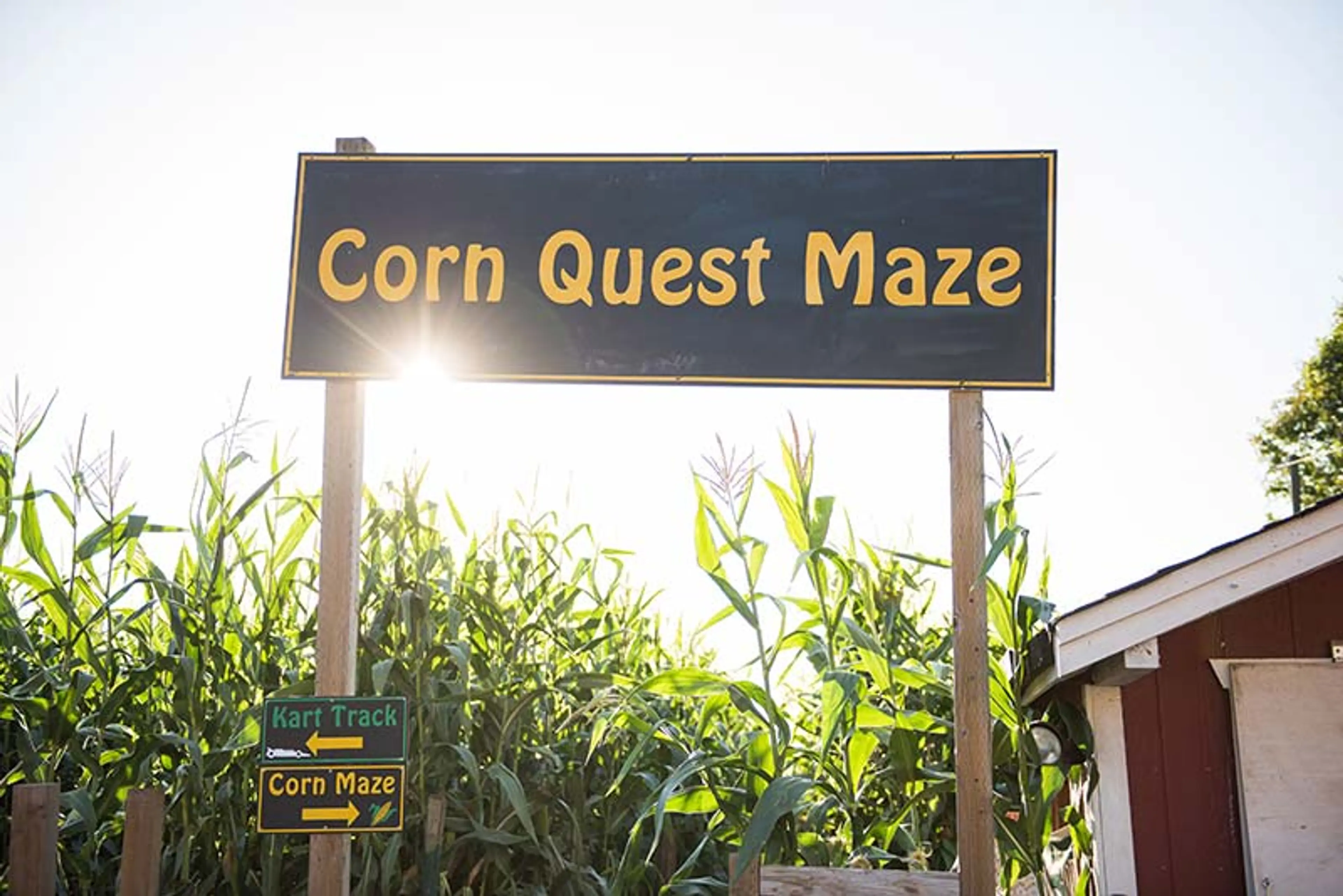 The entrance to the Corn Quest Maze at Taves Family Farms near Vancouver