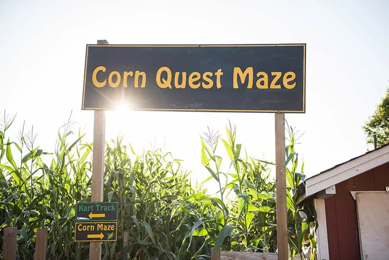 The entrance to the Corn Quest Maze at Taves Family Farms near Vancouver