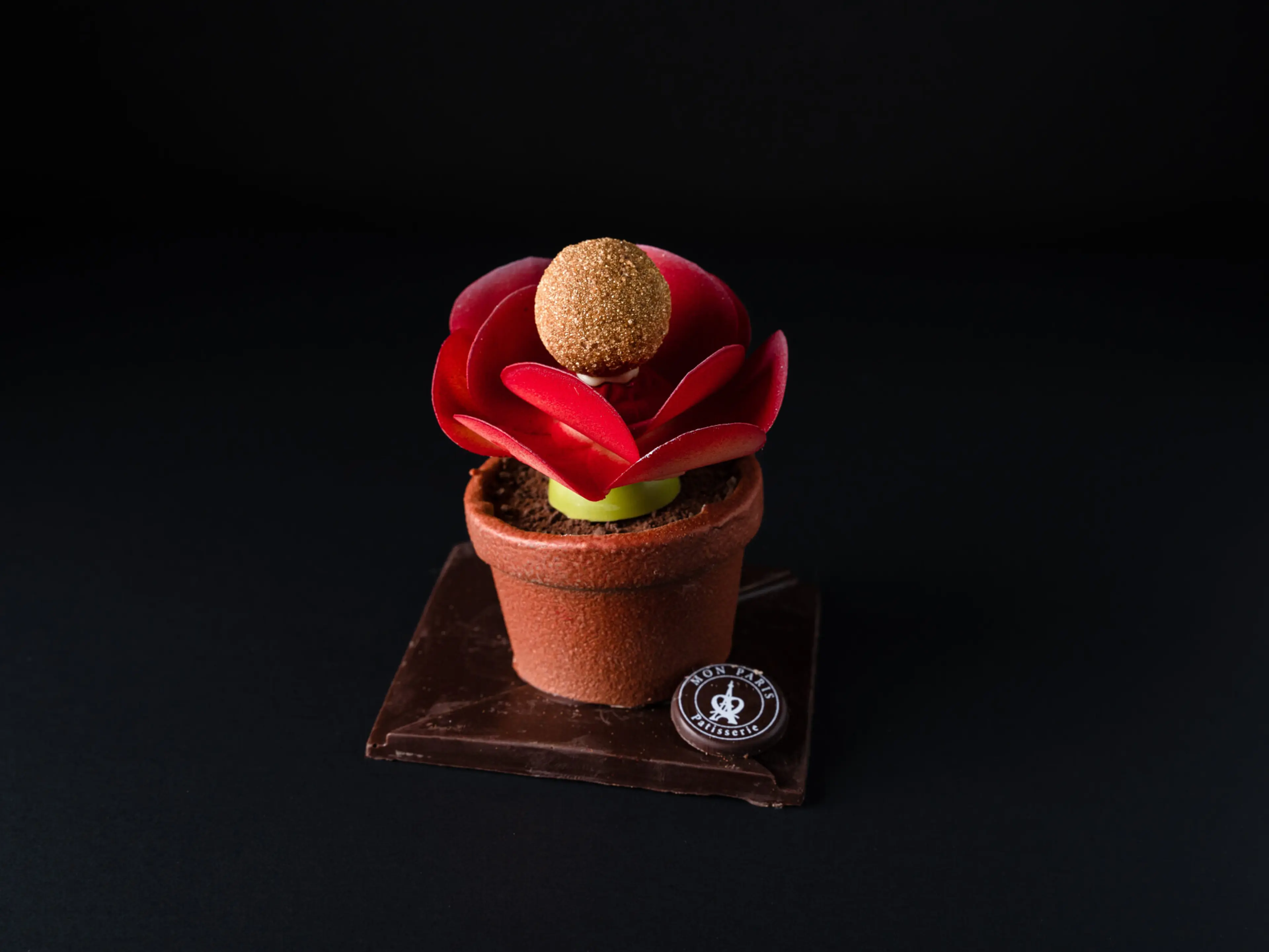 Chocolate potted flower from Mon Paris Patisserie