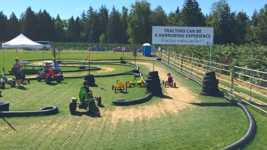 Farmer Alf's Tractor Training | Photo: Bianca Bujan