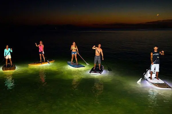 Light the Night Standup Paddleboarding Tour in Vancouver