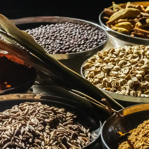 express_292AC557-E672-D9E9-565E1FFD049B41A5-292ac1f1e6beca3_292ad040-9bf4-34dd-08635aee604eb1b7