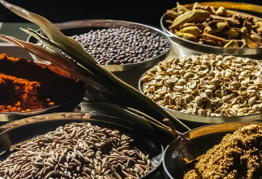 express_292AC557-E672-D9E9-565E1FFD049B41A5-292ac1f1e6beca3_292ad040-9bf4-34dd-08635aee604eb1b7