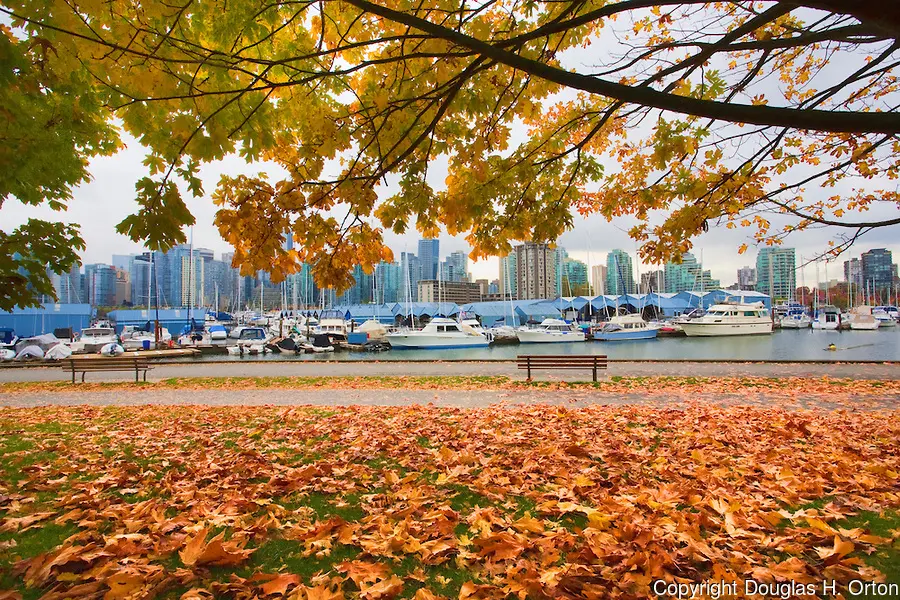 photo: Douglas Orton