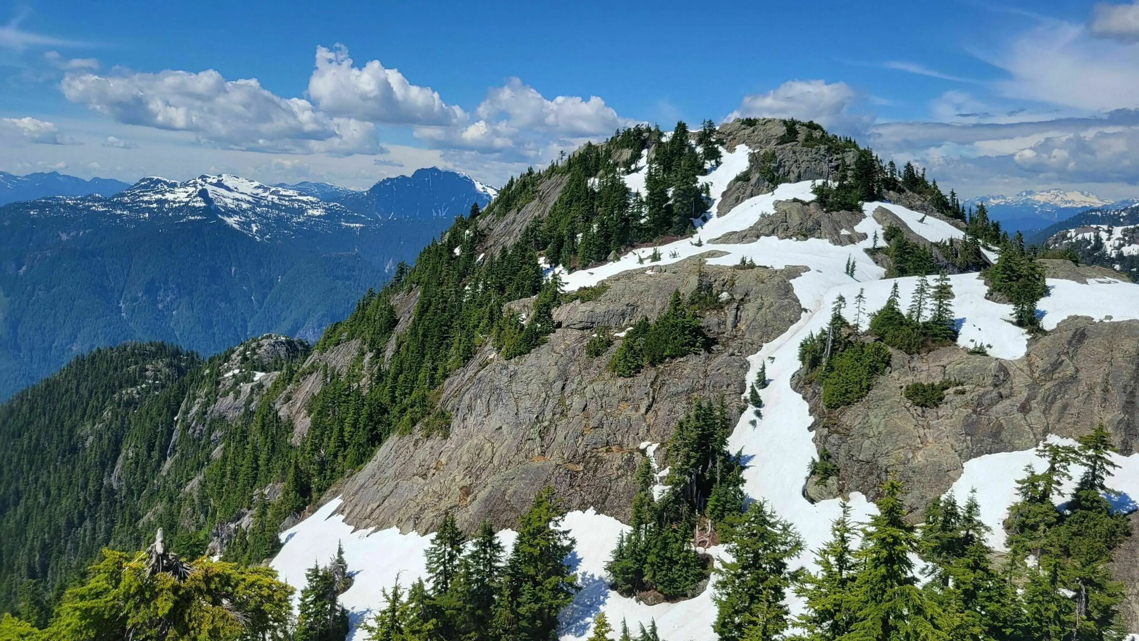 7 Things to do at Mount Seymour Provincial Park in the Summer