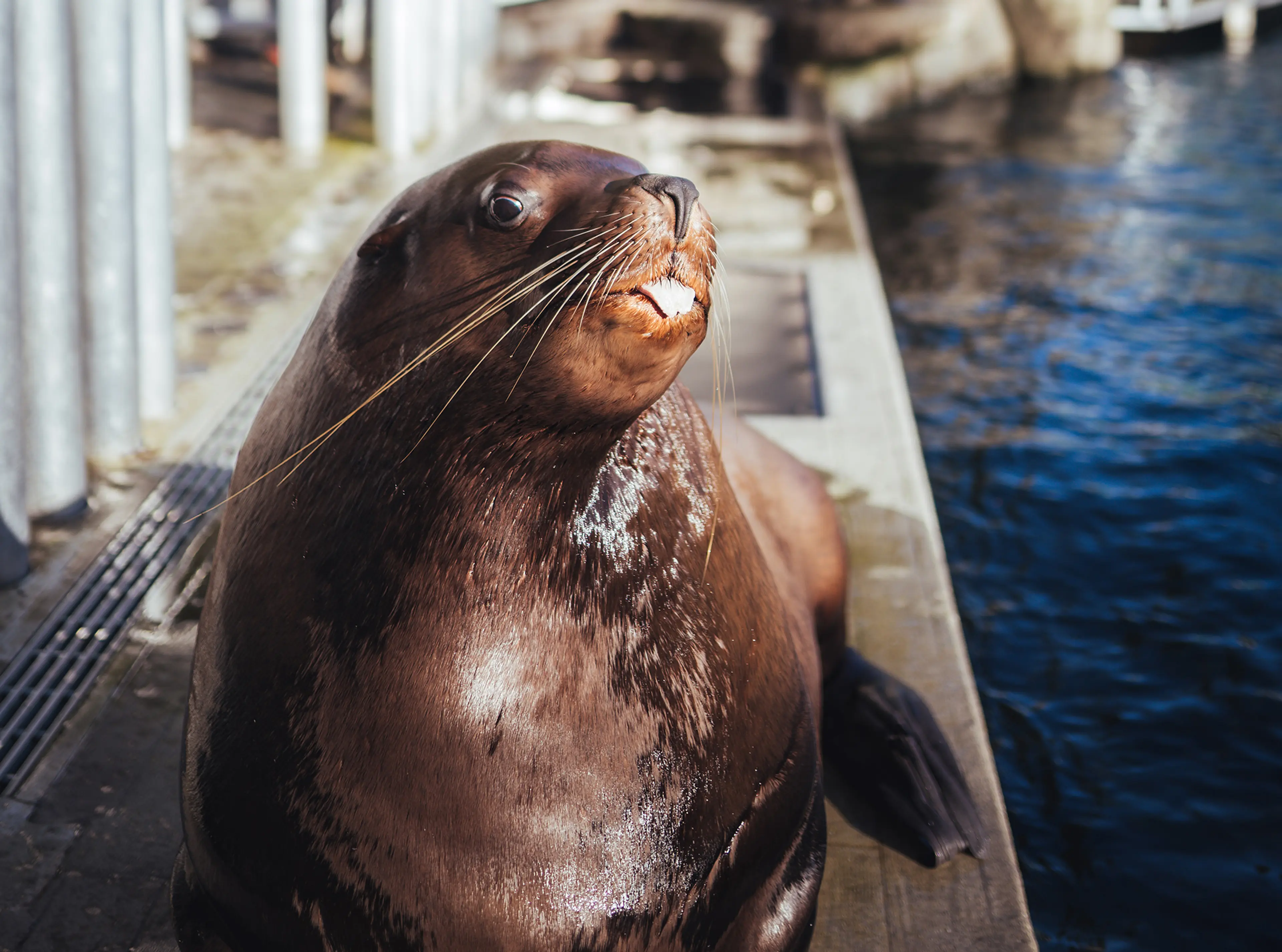 Vancouver Aquarium