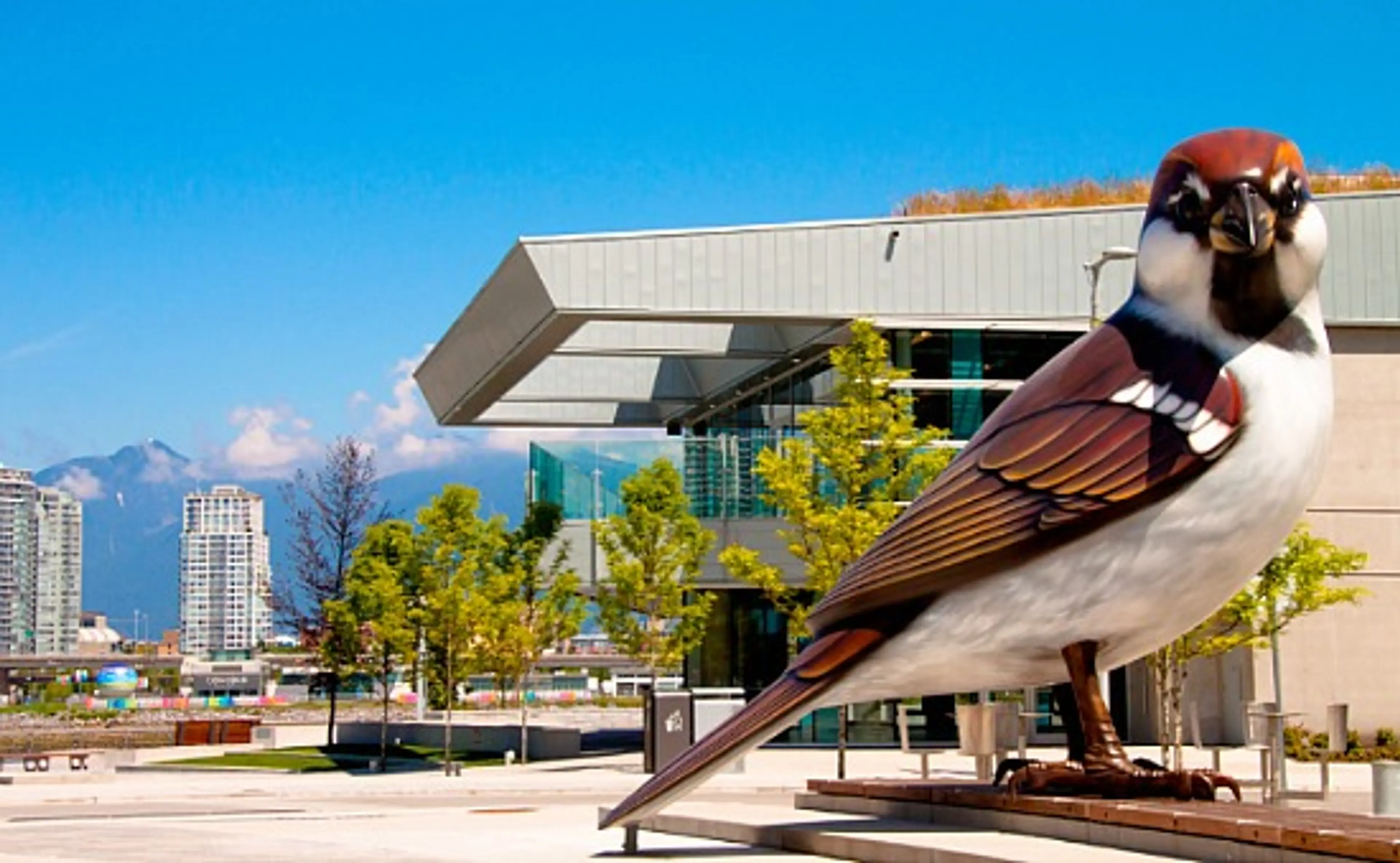 Kids In Vancouver: Take A Walking Photo Tour Of Olympic Village