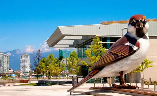 Kids In Vancouver: Take A Walking Photo Tour Of Olympic Village