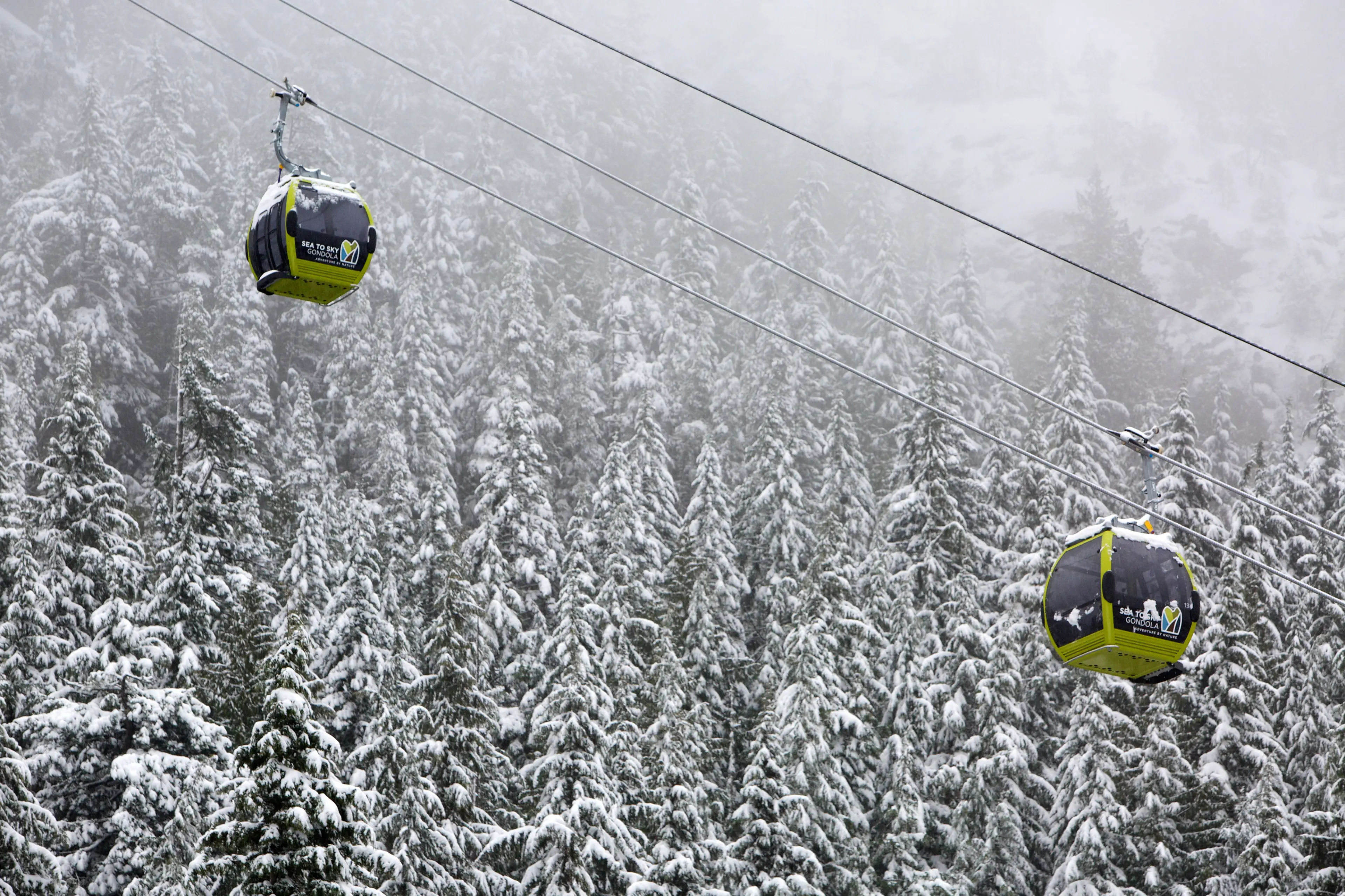 Two Sea to Sky Gondola cars in front of a snowy mountainside.