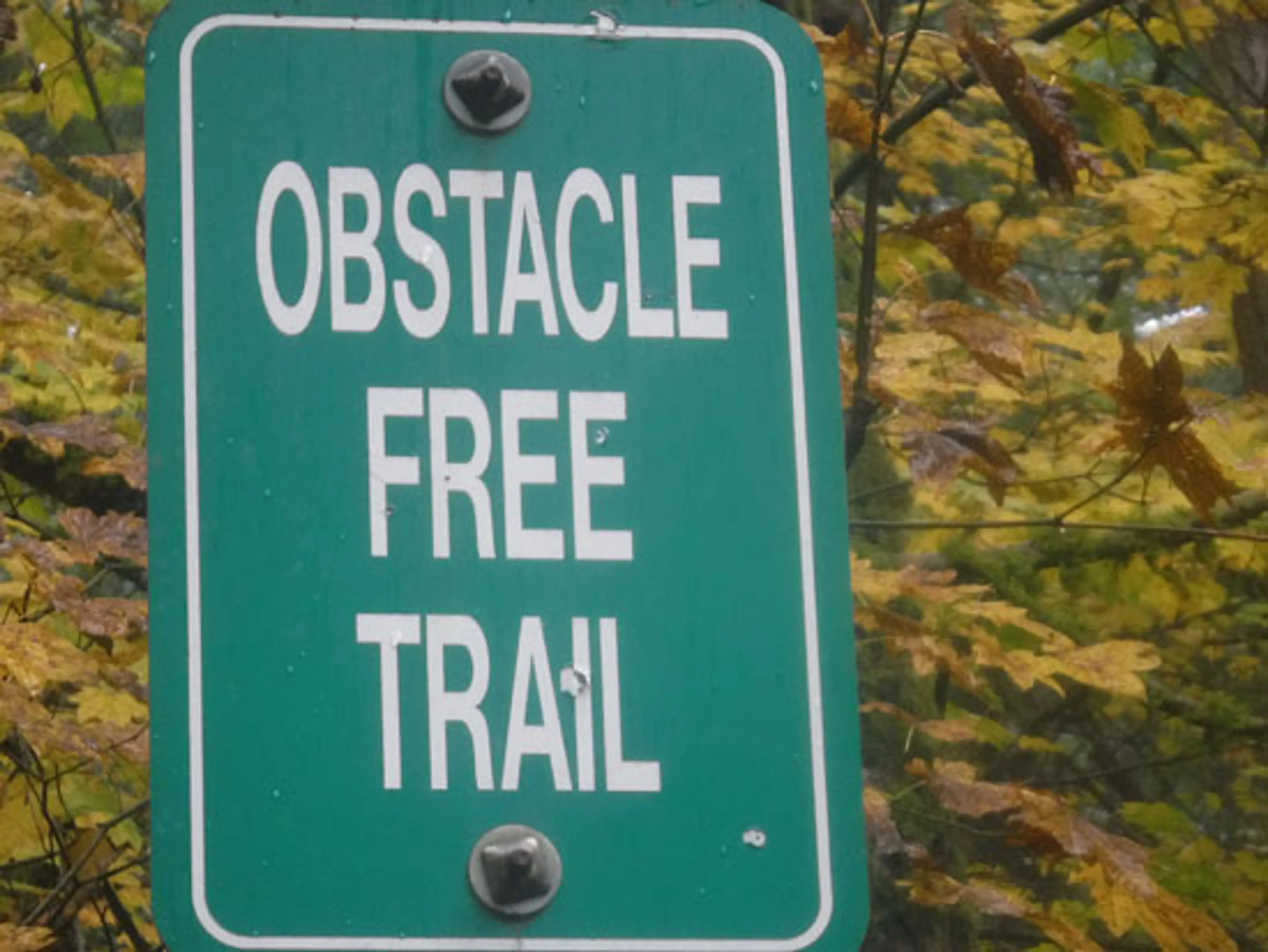 Nature for All! Accessible Trails in Vancouver
