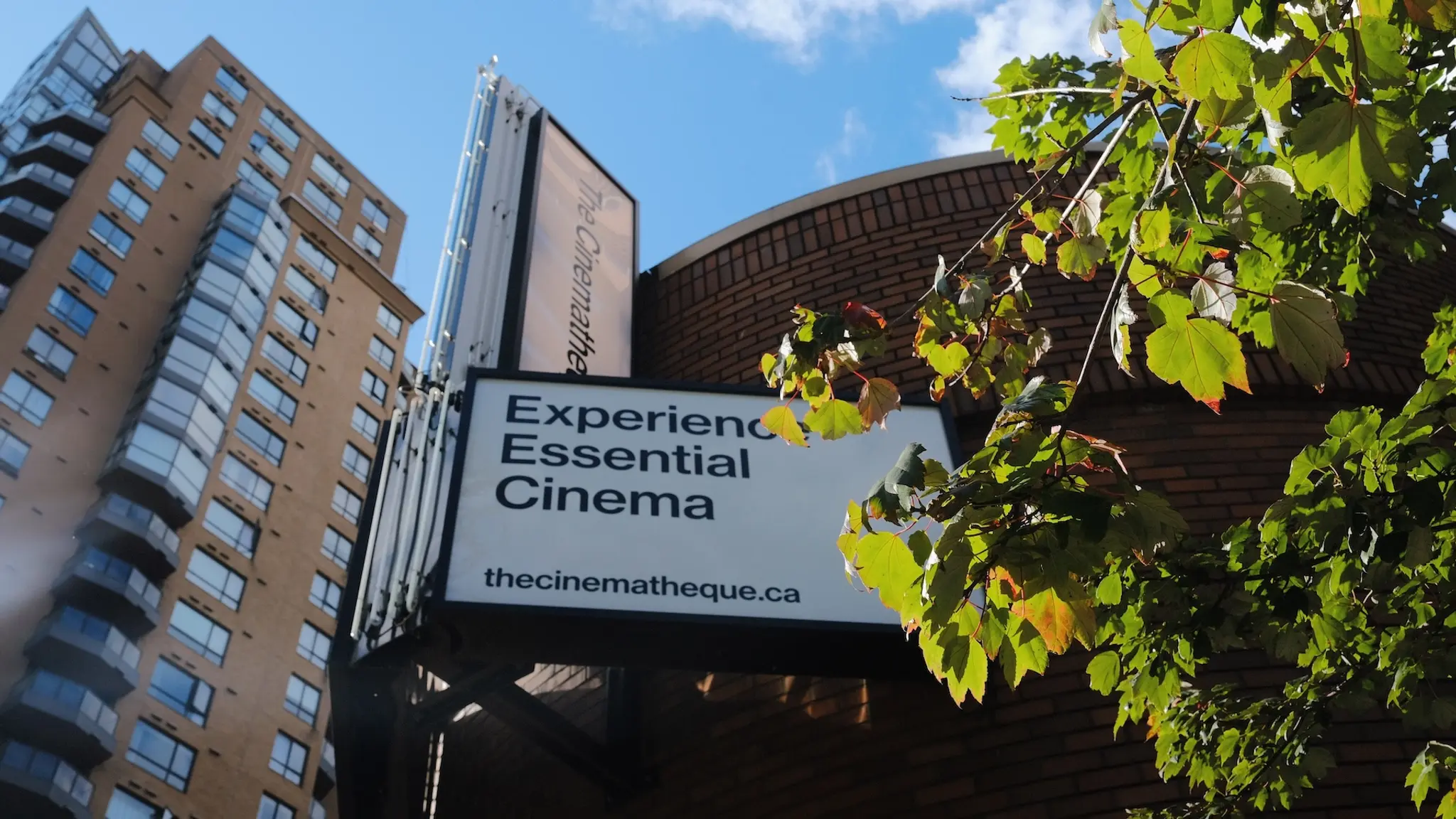 The Cinematheque | DOXA 2025