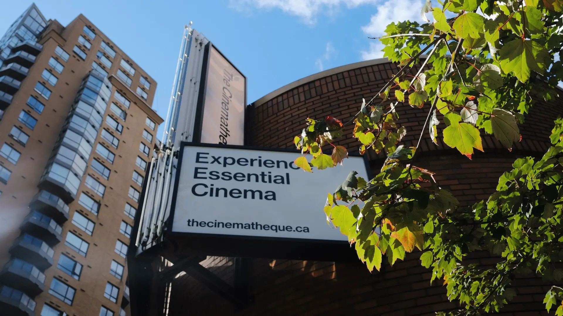 The Cinematheque | DOXA 2025