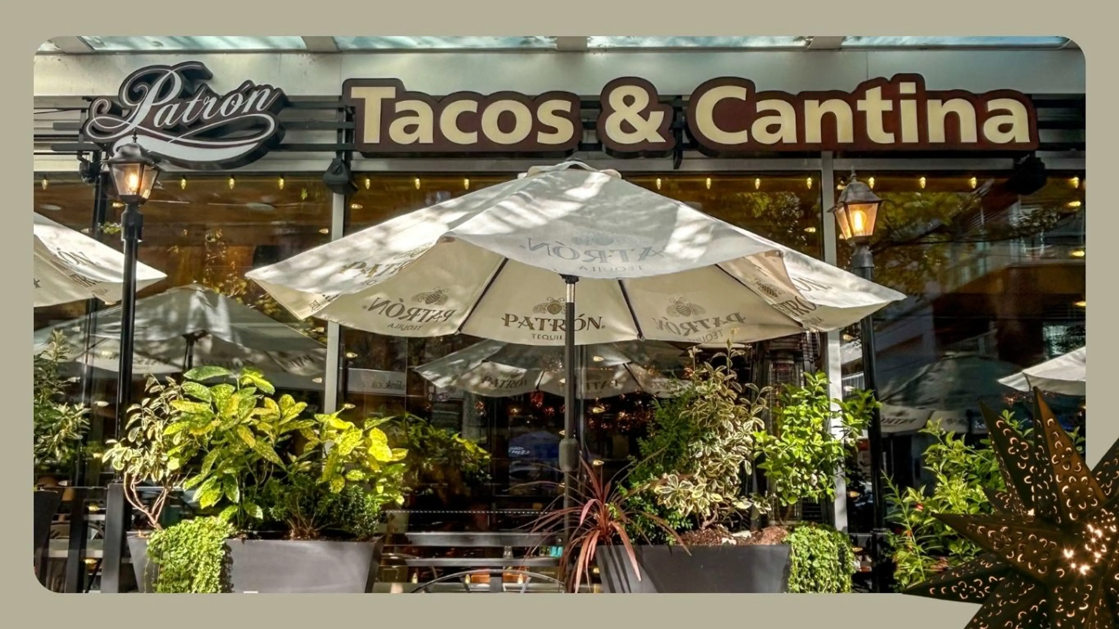 1_14C76B69-BFB2-4B8A-8B009DBAE4674A0C_99ee1080-d660-49c0-a90b6962eee7e869