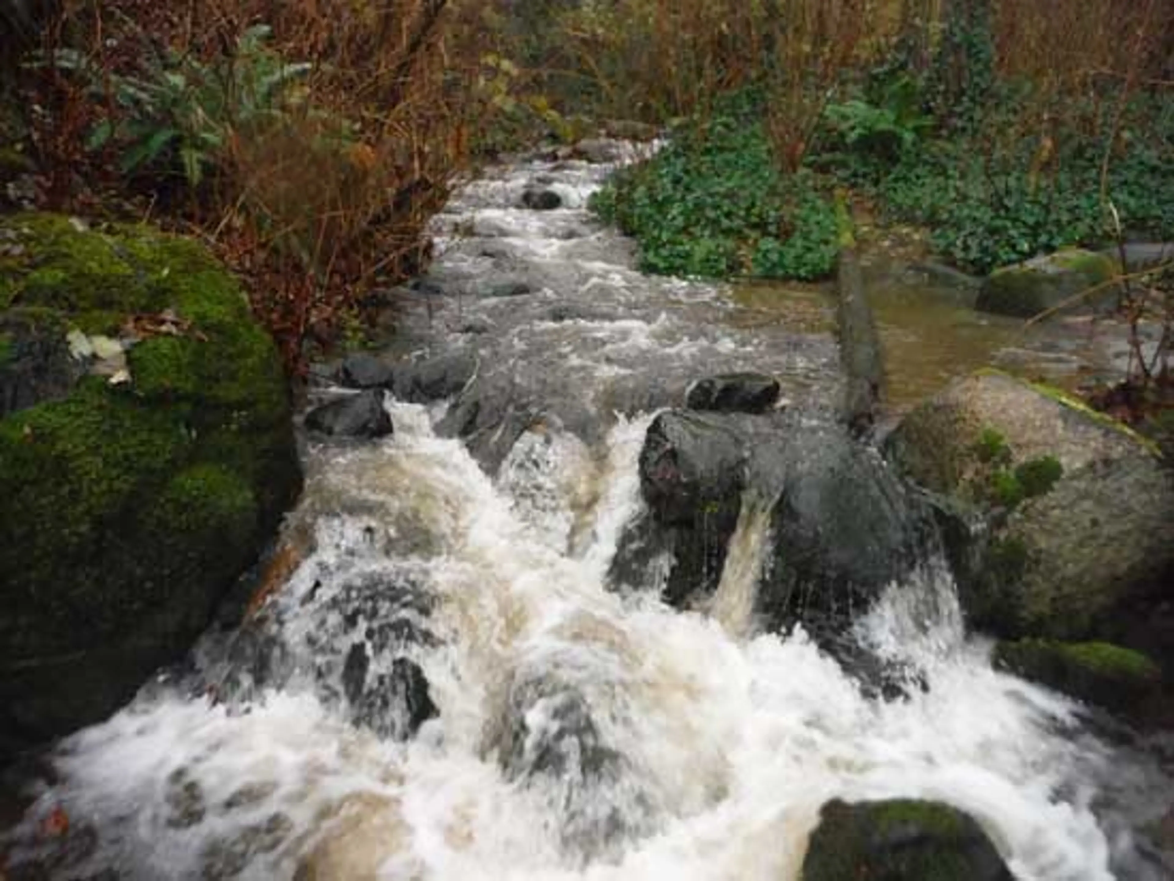 Discover Outdoors Wreck Beach Stream