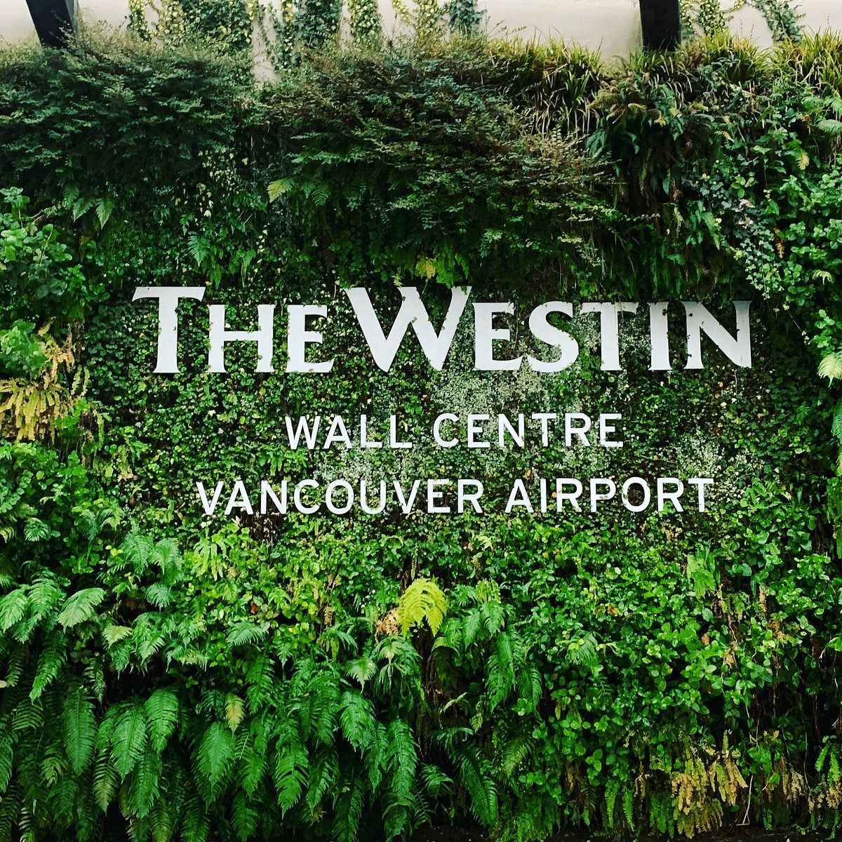 w-1200h-1200-ea43ec-the-westin-wall-centre