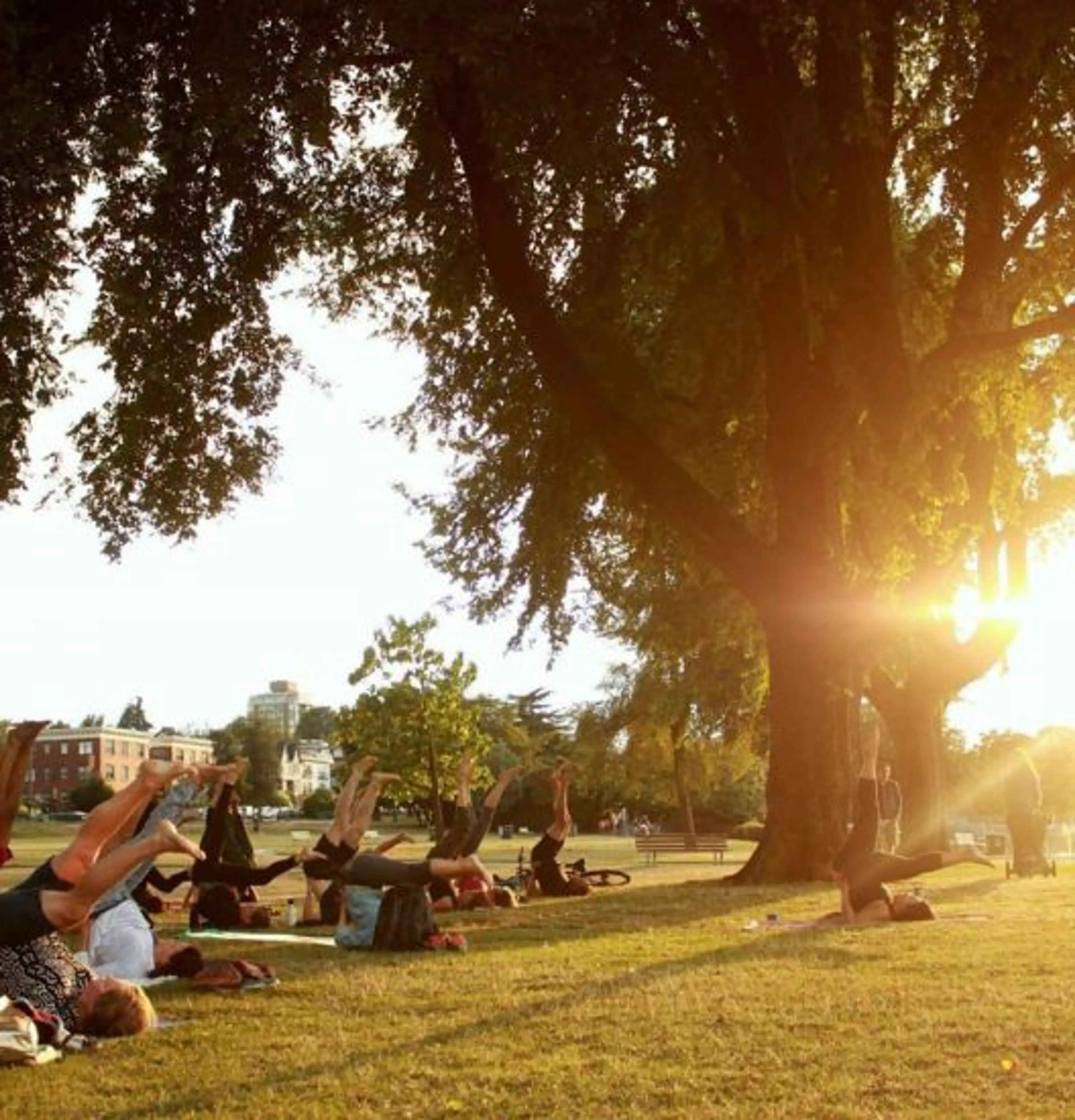 Free Outdoor Yoga Classes Being Held in Kitsilano all Summer Long!