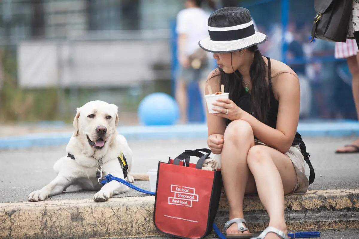 A person eating ice cream with their dog in a park in Vancouver.