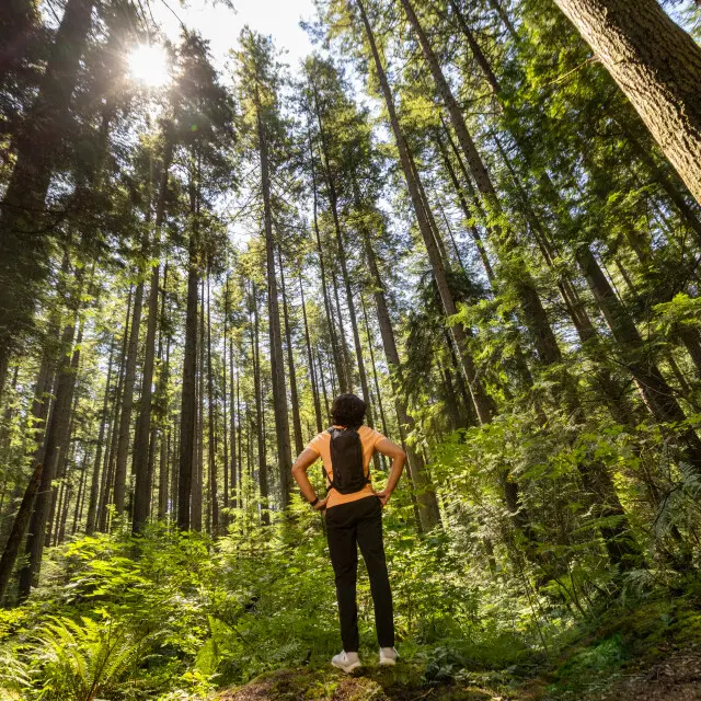 Pacific Spirit Regional Park