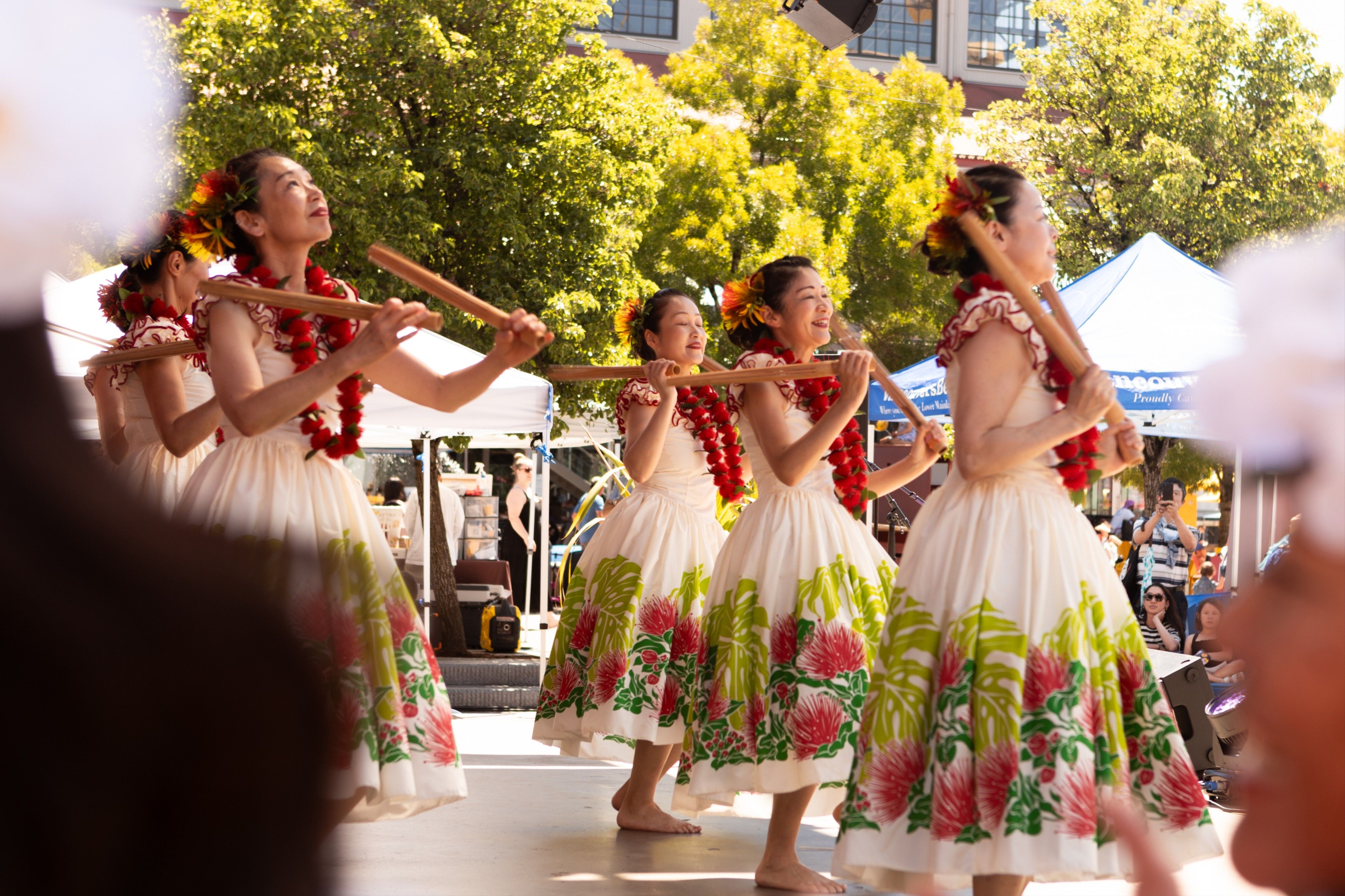 Festivibe 2026: Metro Vancouver Multicultural Festival