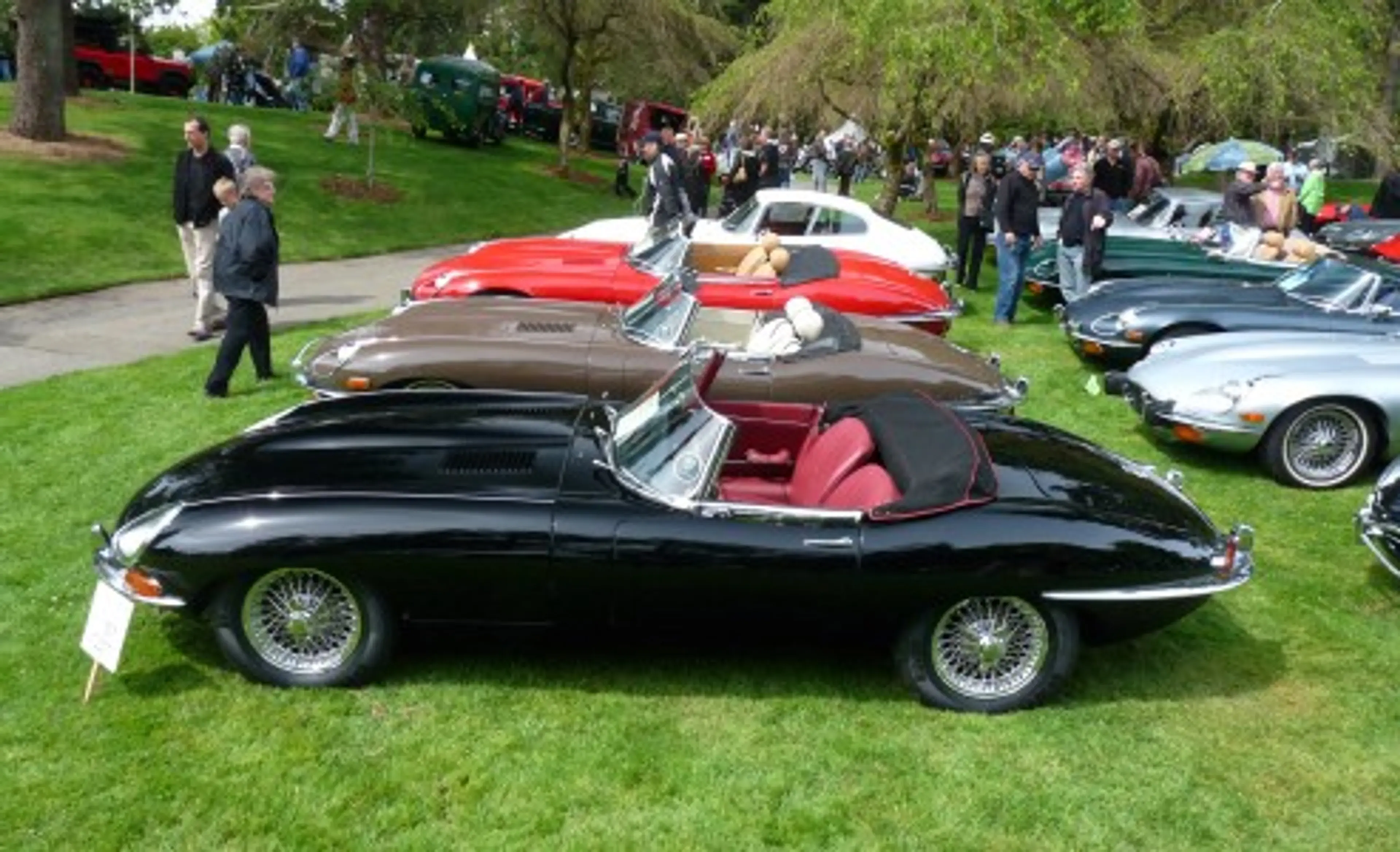 All British Field Meet