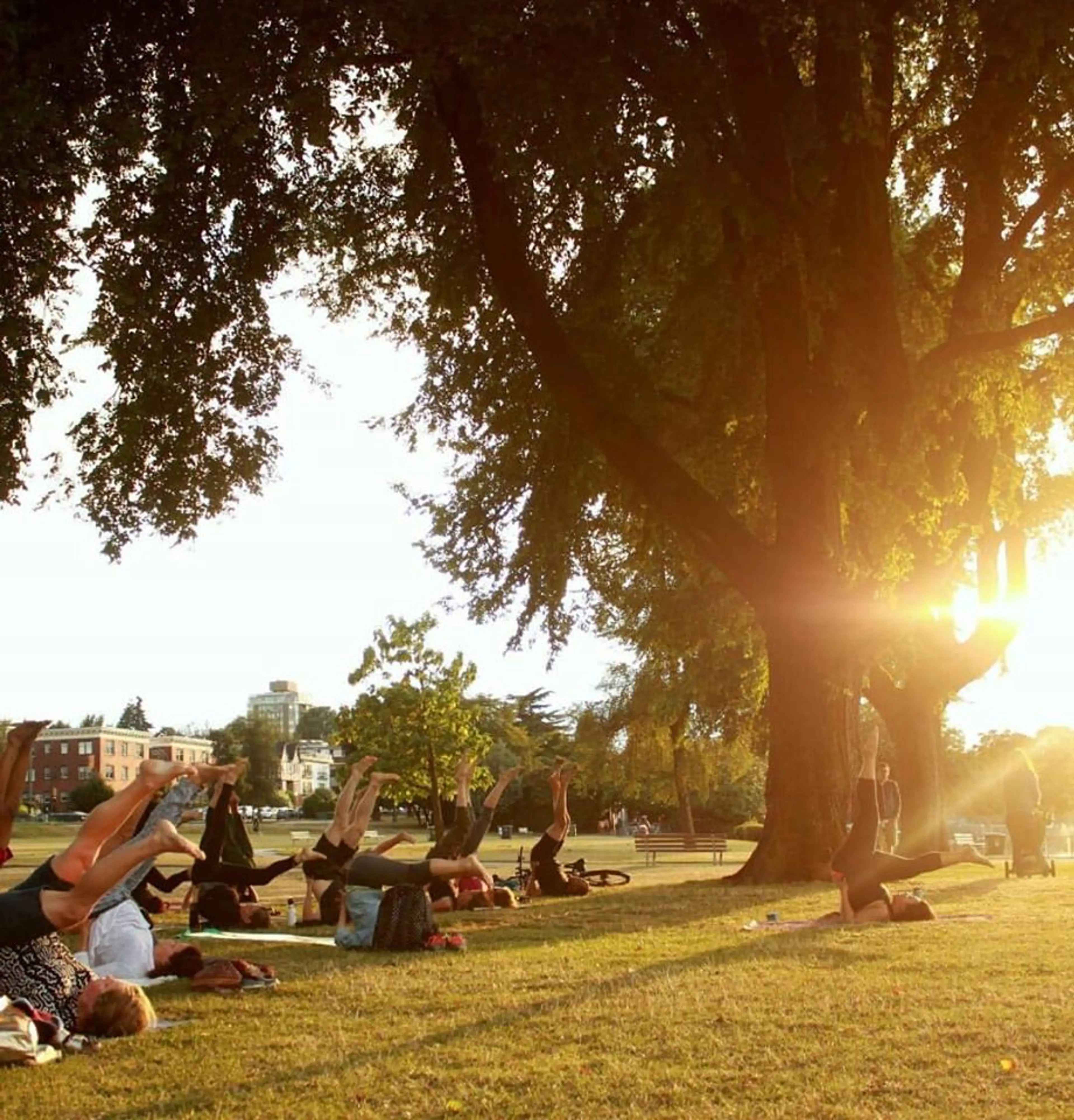 OMMM-mg: Free Outdoor Yoga Will Run Daily Throughout the Summer!