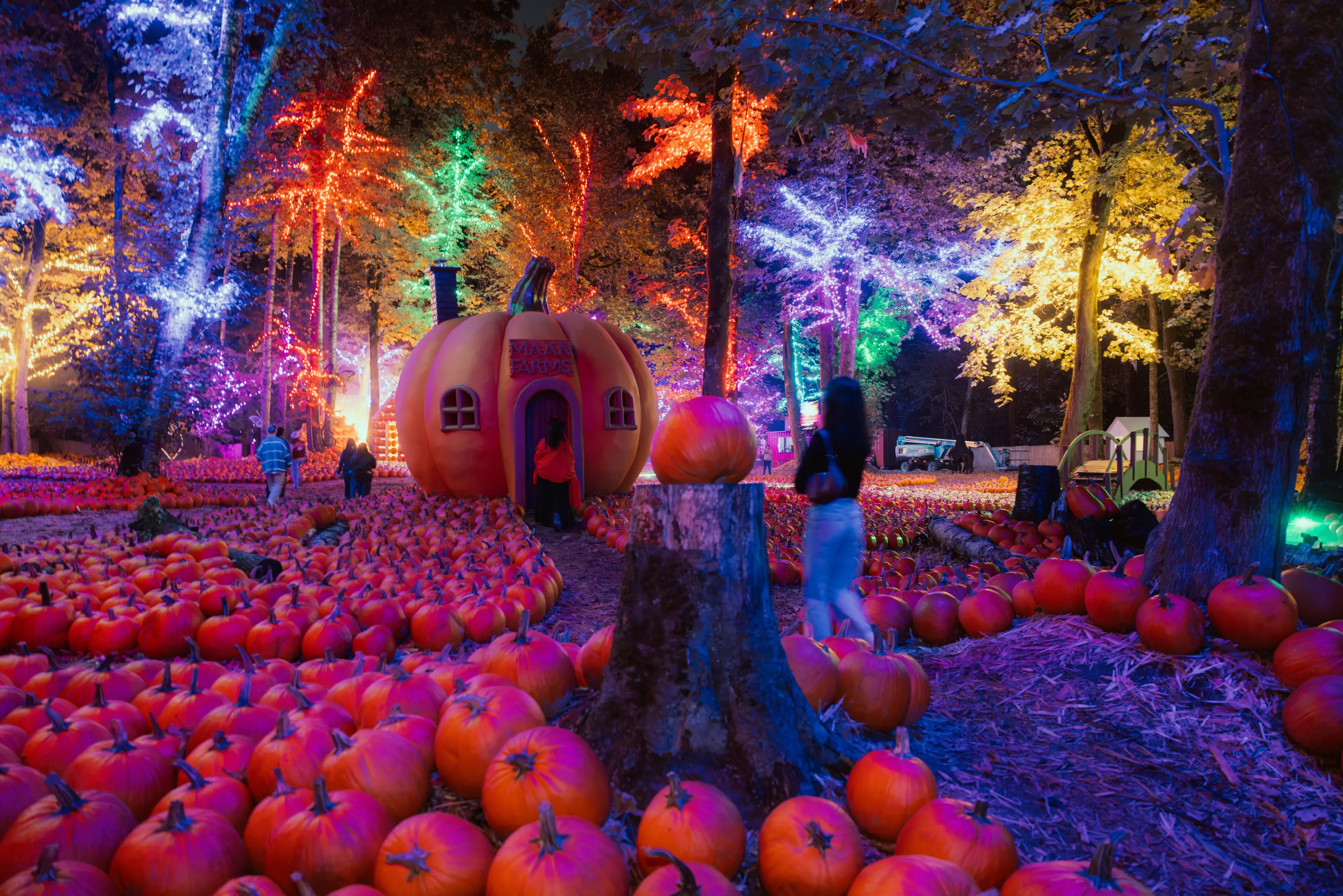 Pumpkin patch at night with colorful illuminated trees and a large pumpkin-shaped house with people walking around.
