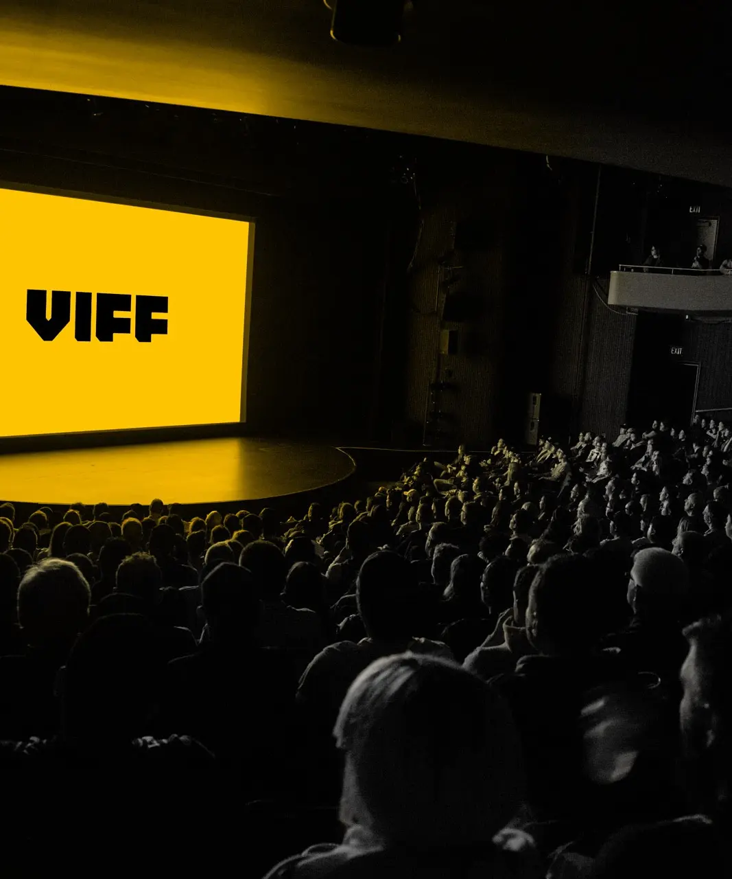 A large audience seated in a dark theater watching a bright yellow screen with the text VIFF.