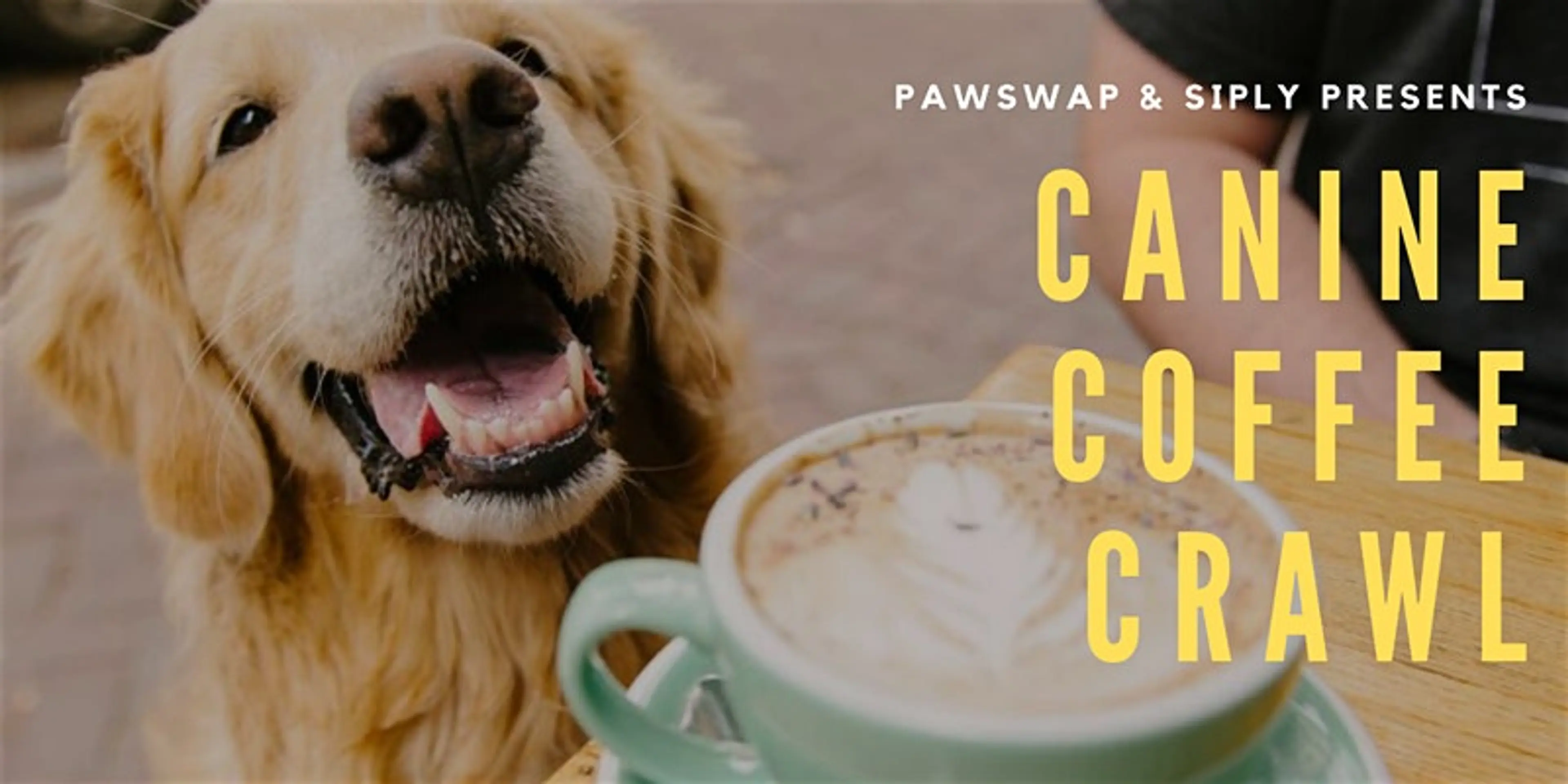 canine coffee crawl vancouver