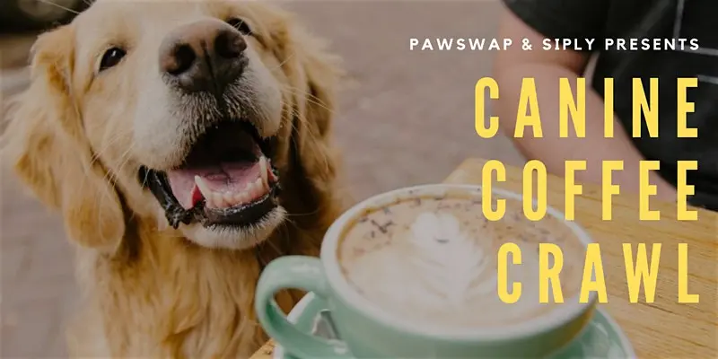 canine coffee crawl vancouver