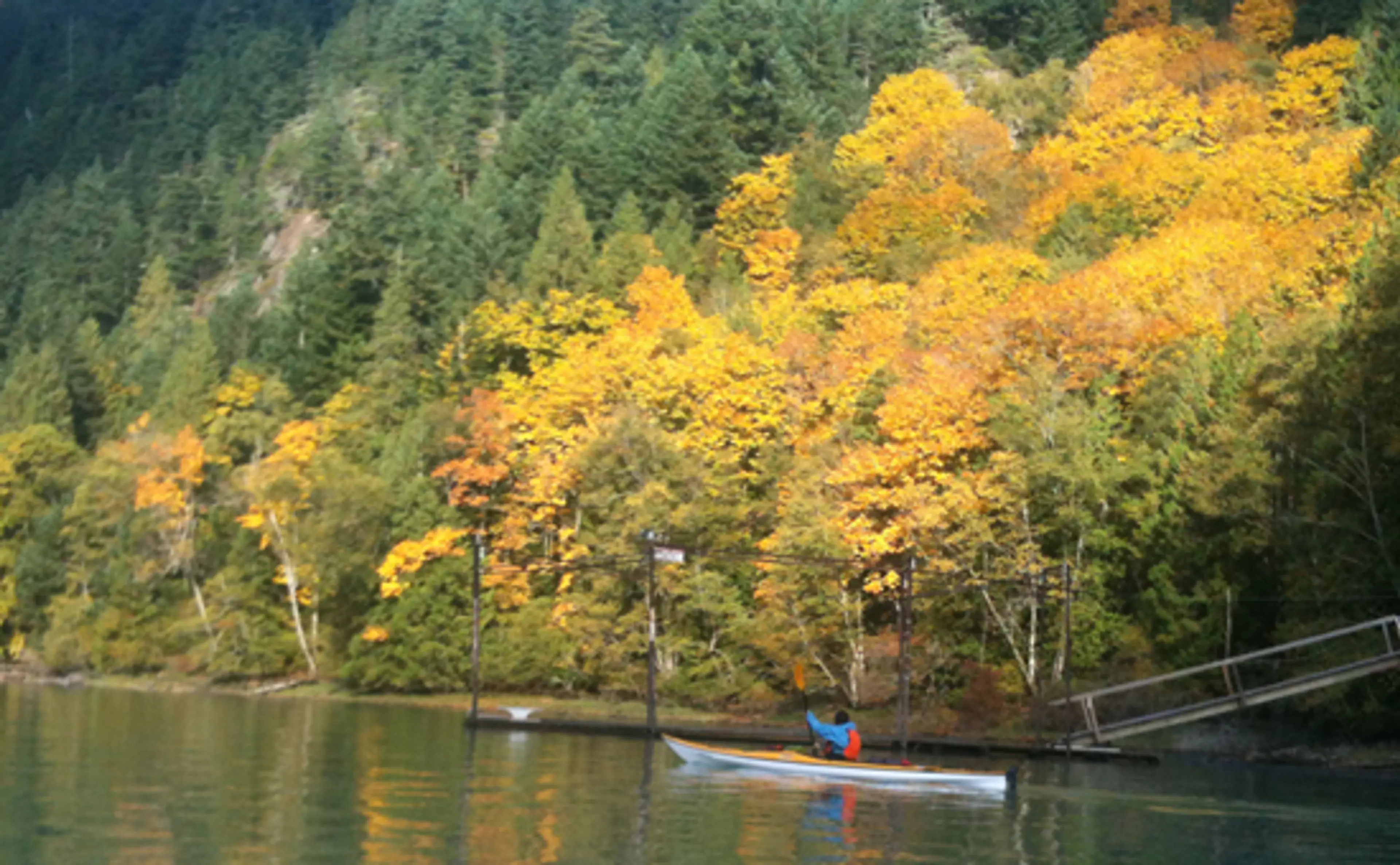 harrison-river-salmon-run-discover-the-outdoors2