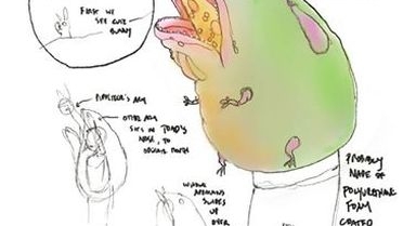 Sourced from Big Draw website
