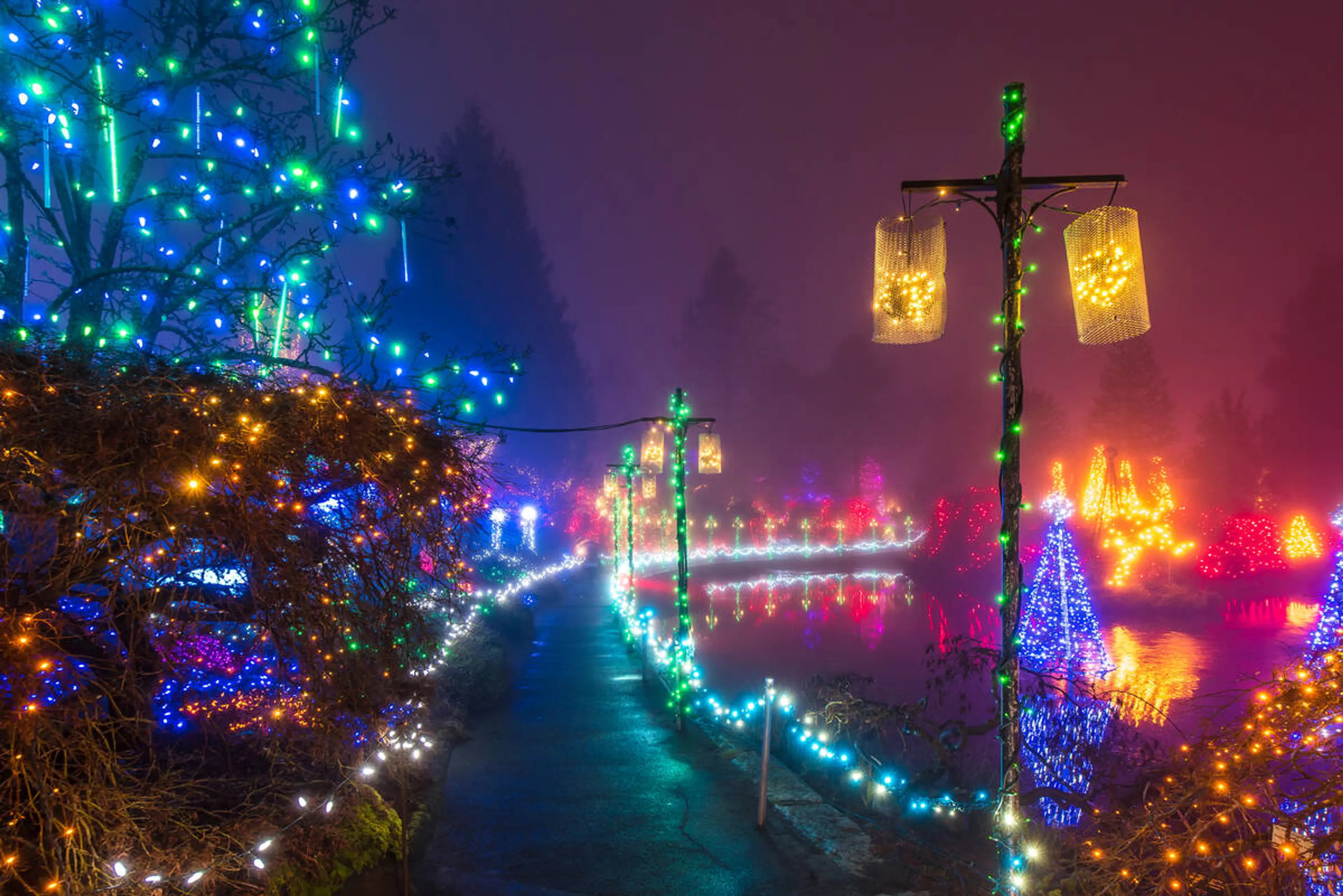 Lights line the path at VanDusen Botanical Garden's Festival of Lights. 