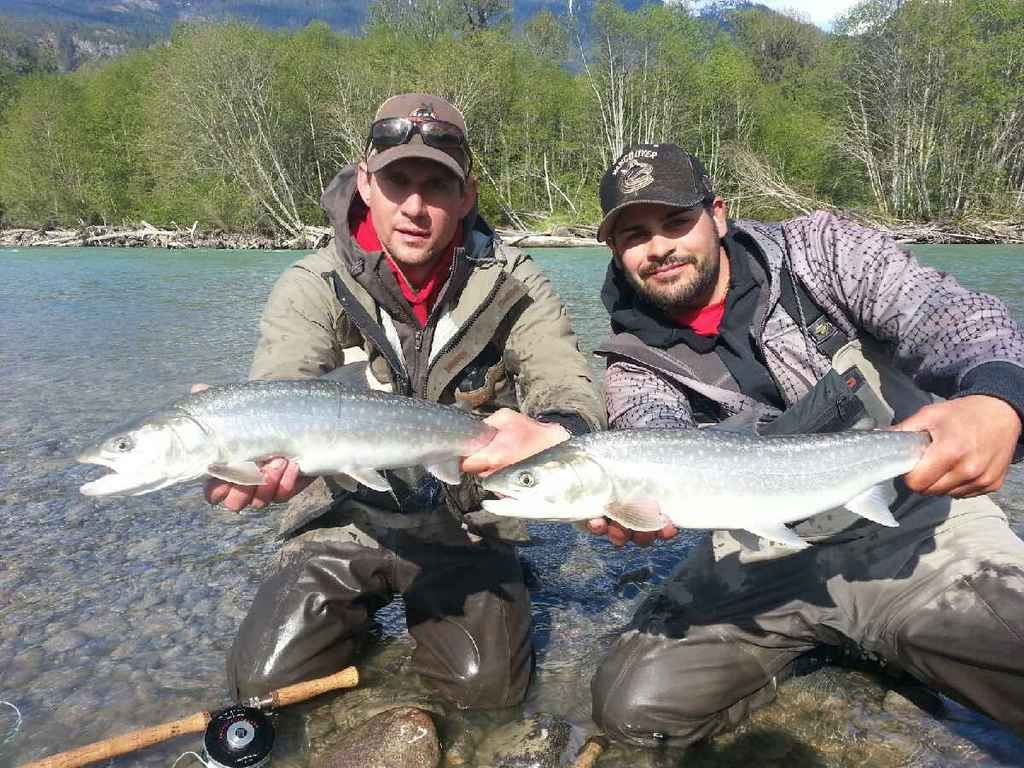 BIG Bull Trout