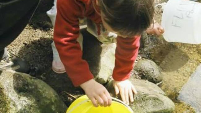 Port Moody Fingerling Festival