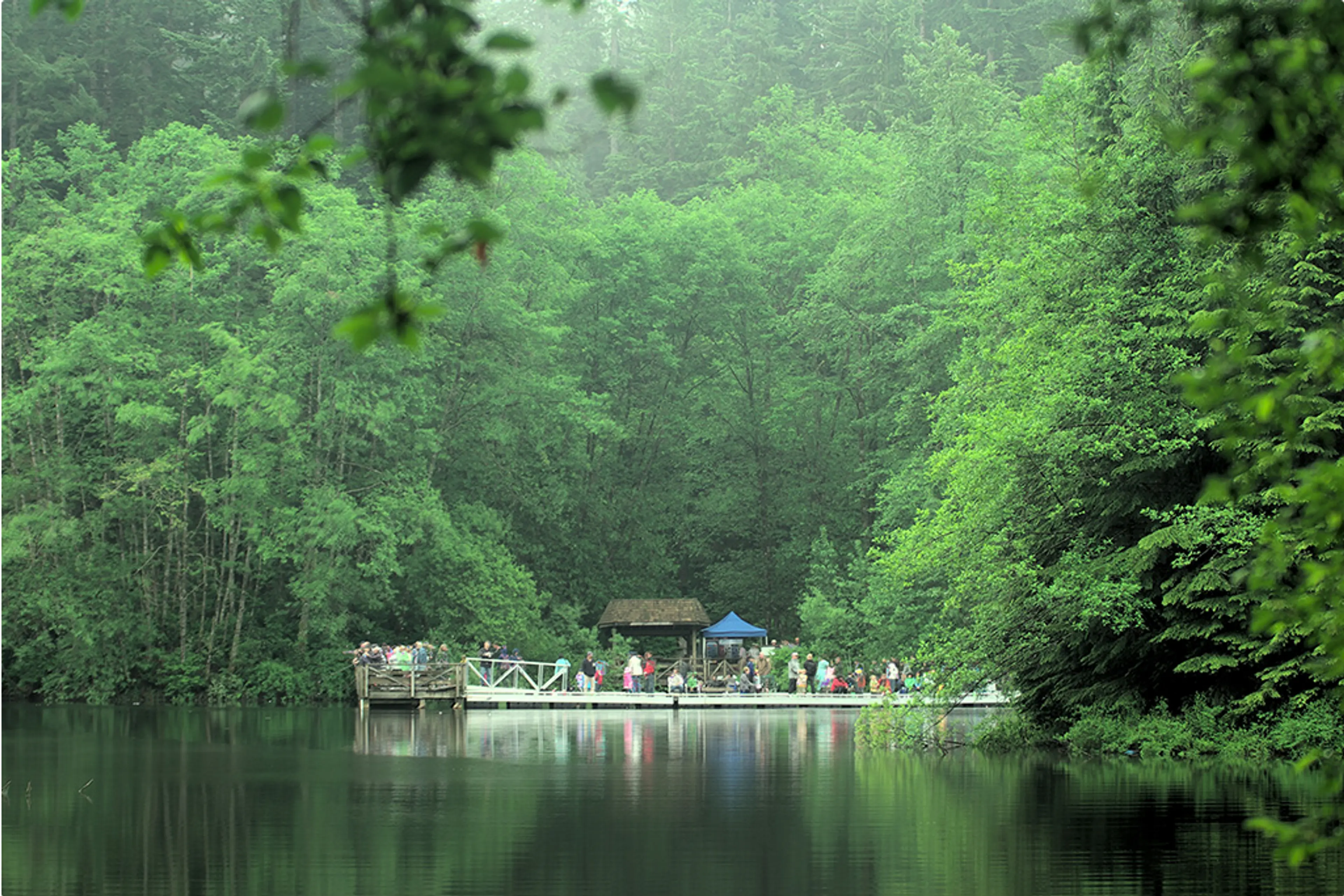 Rice Lake at the Lower Seymour Conservation Reserve in North Vancouver