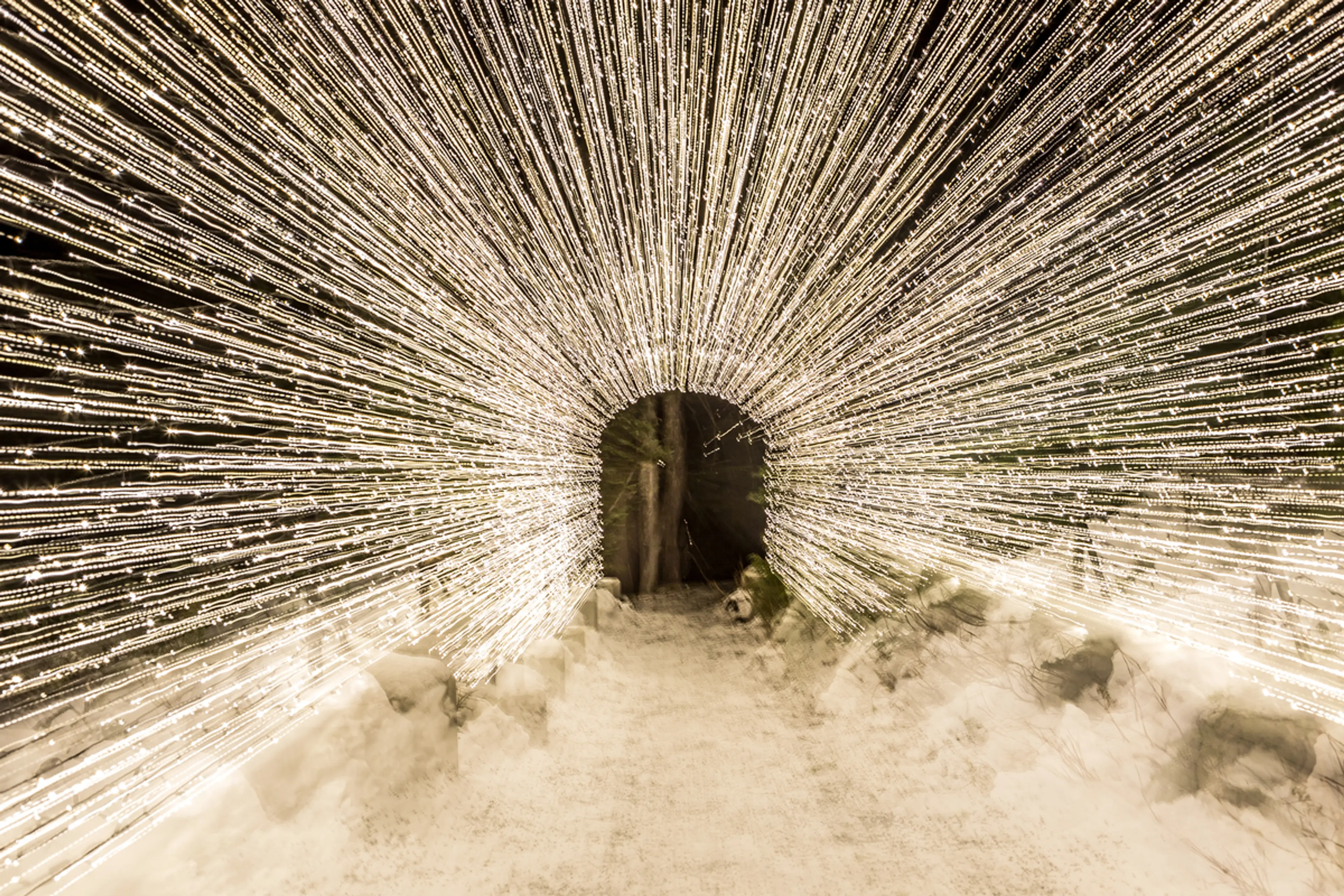Grouse Light Walk
