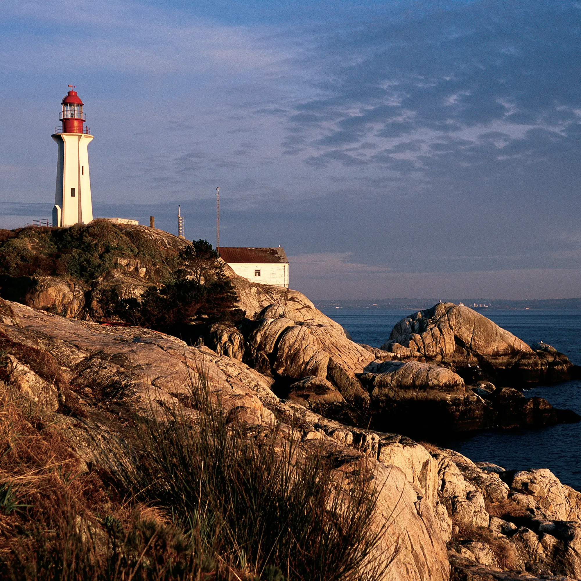 Valley of the Giants (Lighthouse Park)