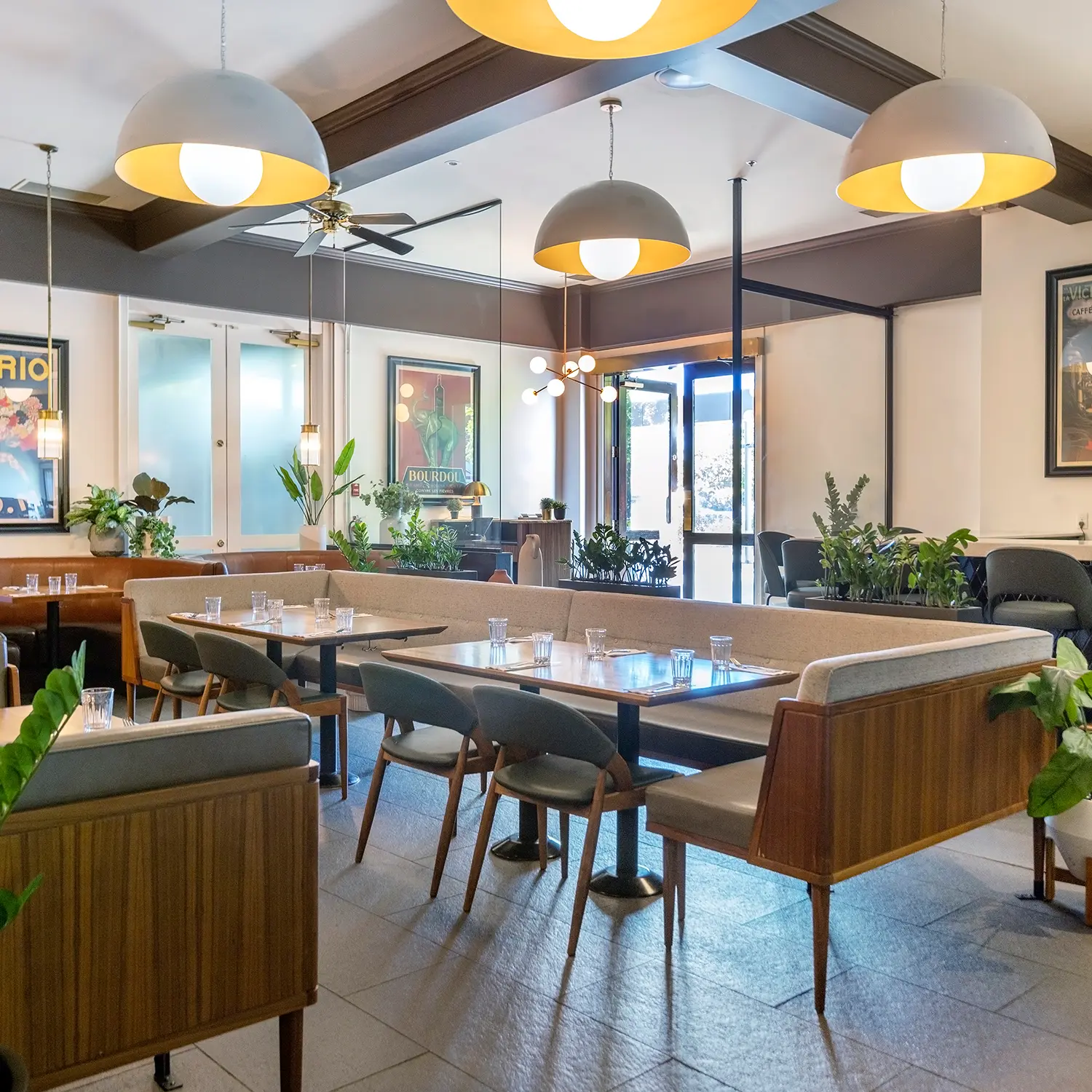 edit_Earls_Lansdowne_2373_1ABCD52E-095A-4FDC-B35E0172C1158743_d65cf9d3-f04f-4eb4-b0f8168a7088b98c