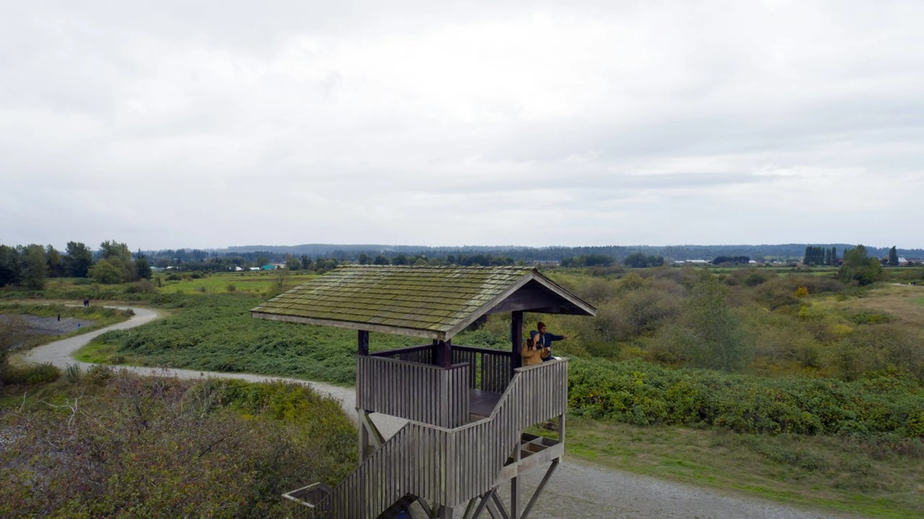 Serpentine Fen Viewing tower in Surrey
