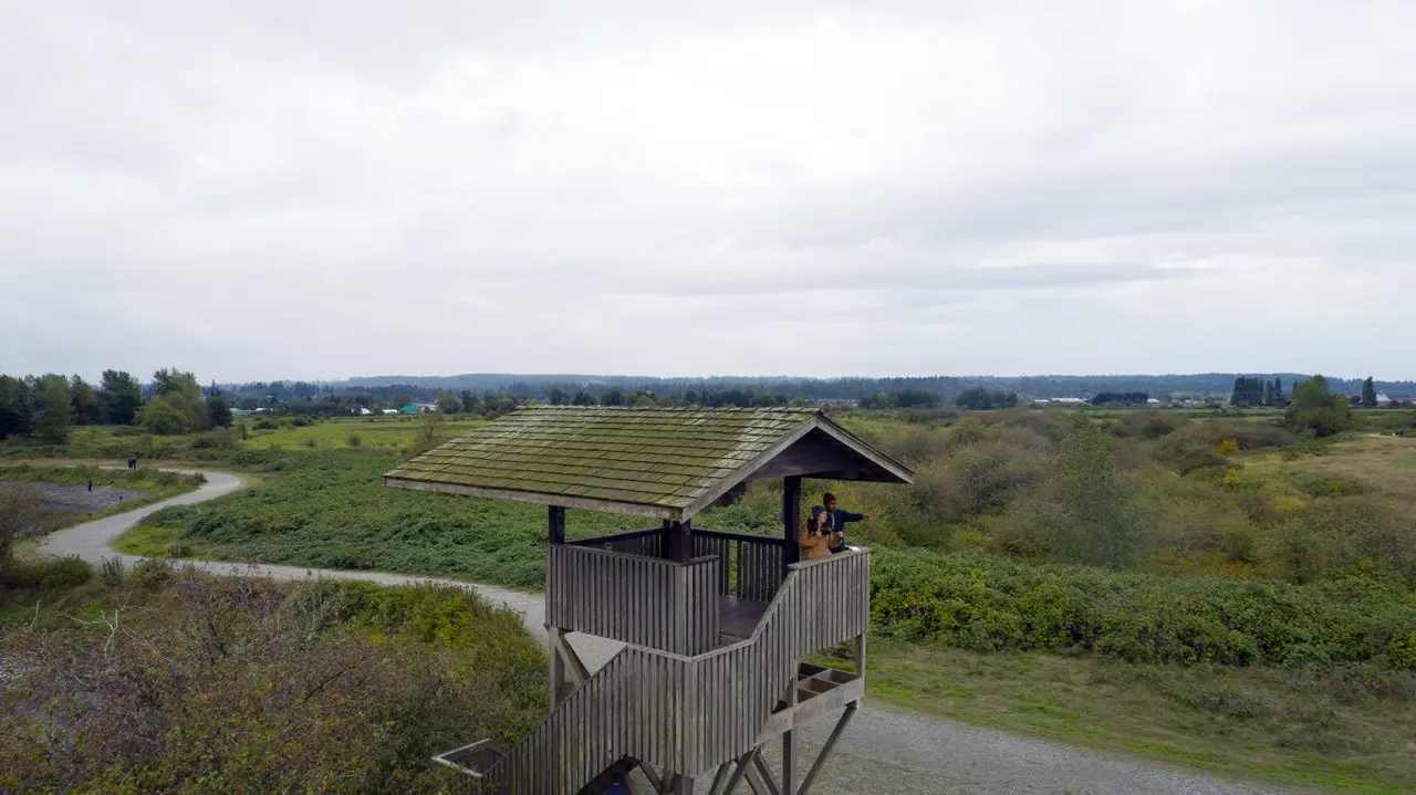 Serpentine Fen Viewing tower in Surrey