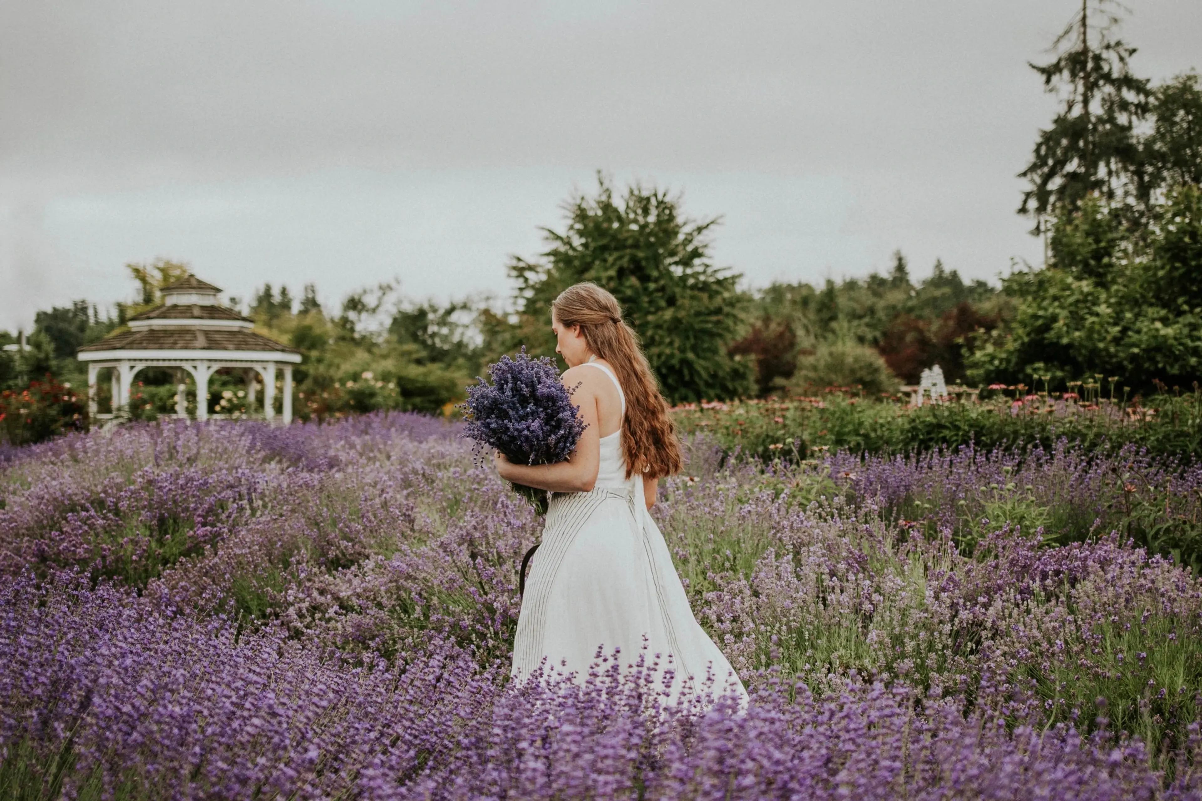 A woman walks through a field of lavender at Tuscan Farm Gardens near Vancouver