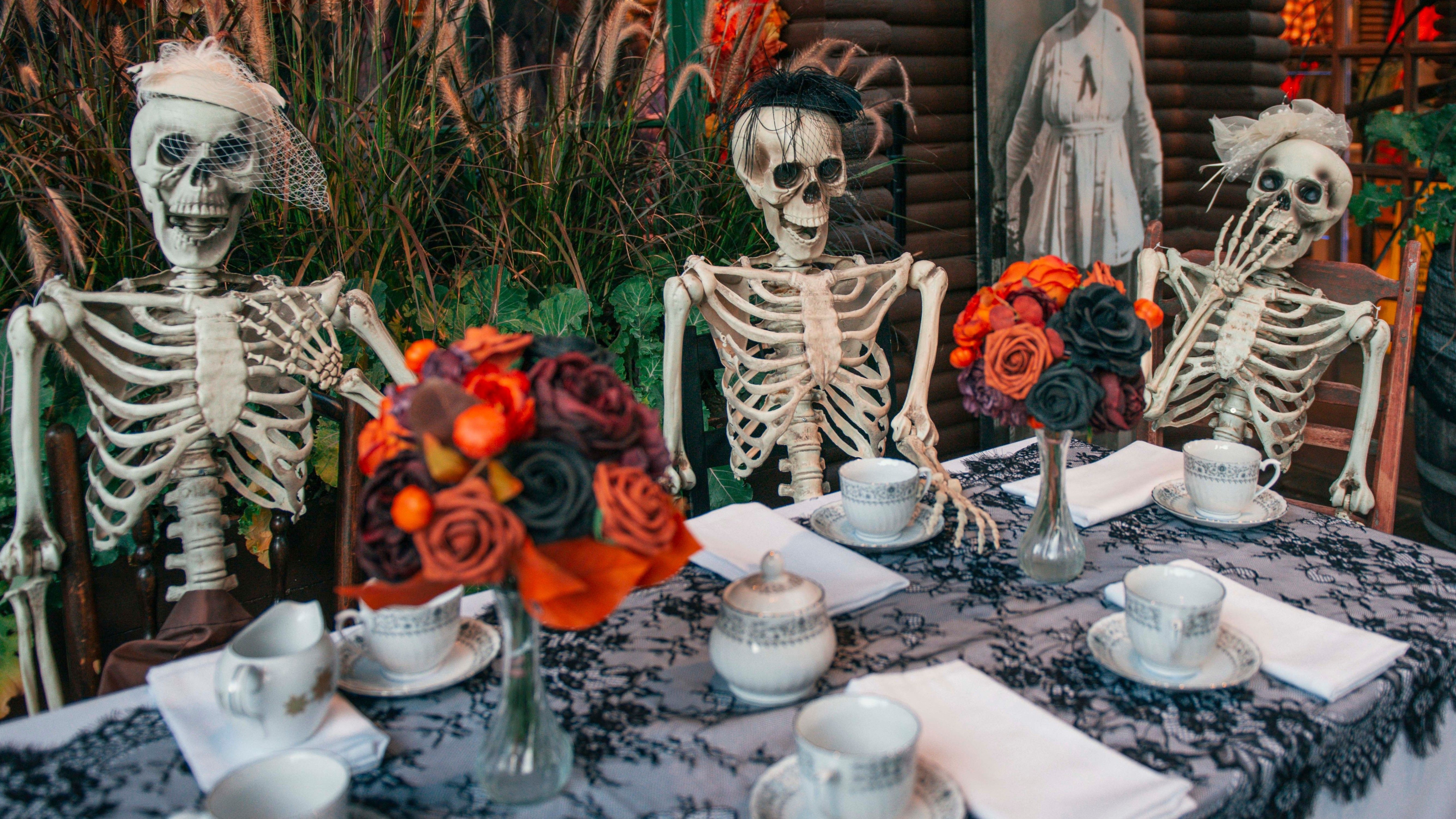 w-5920h-3330-e63f1f-Canyon Frights Tea Party