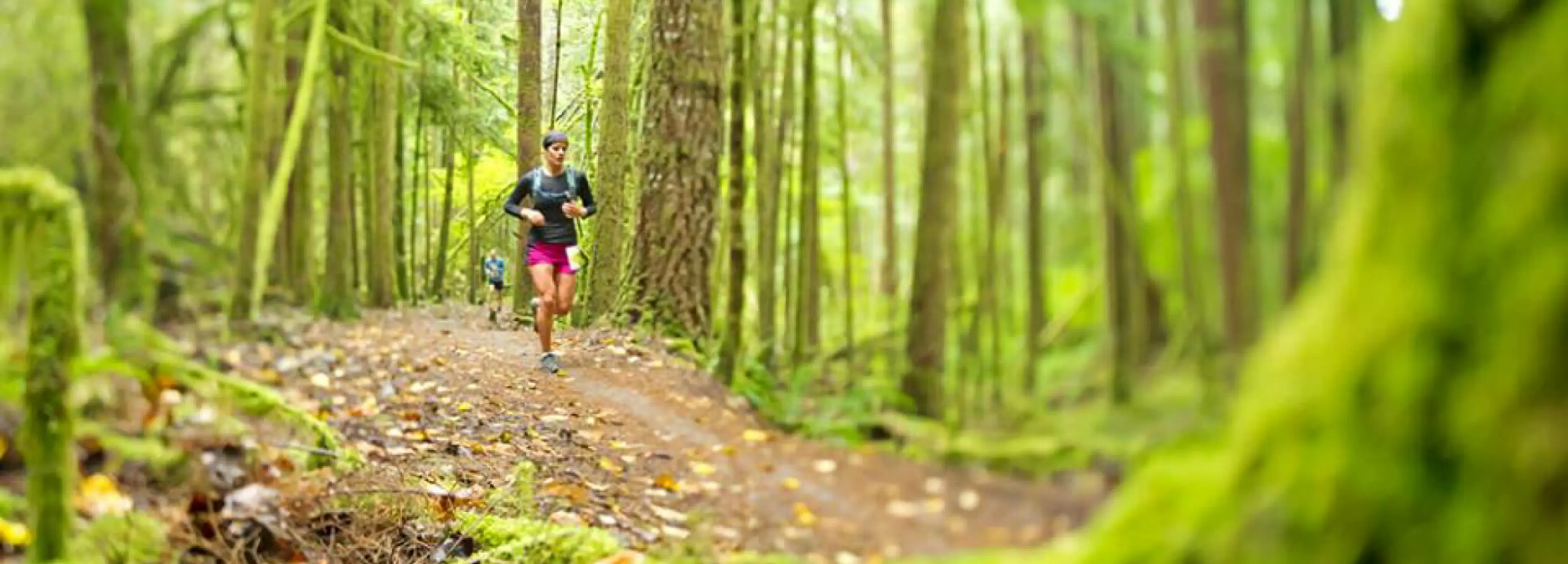 Trail running at Alice Lake