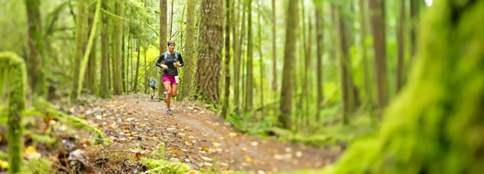Trail running at Alice Lake