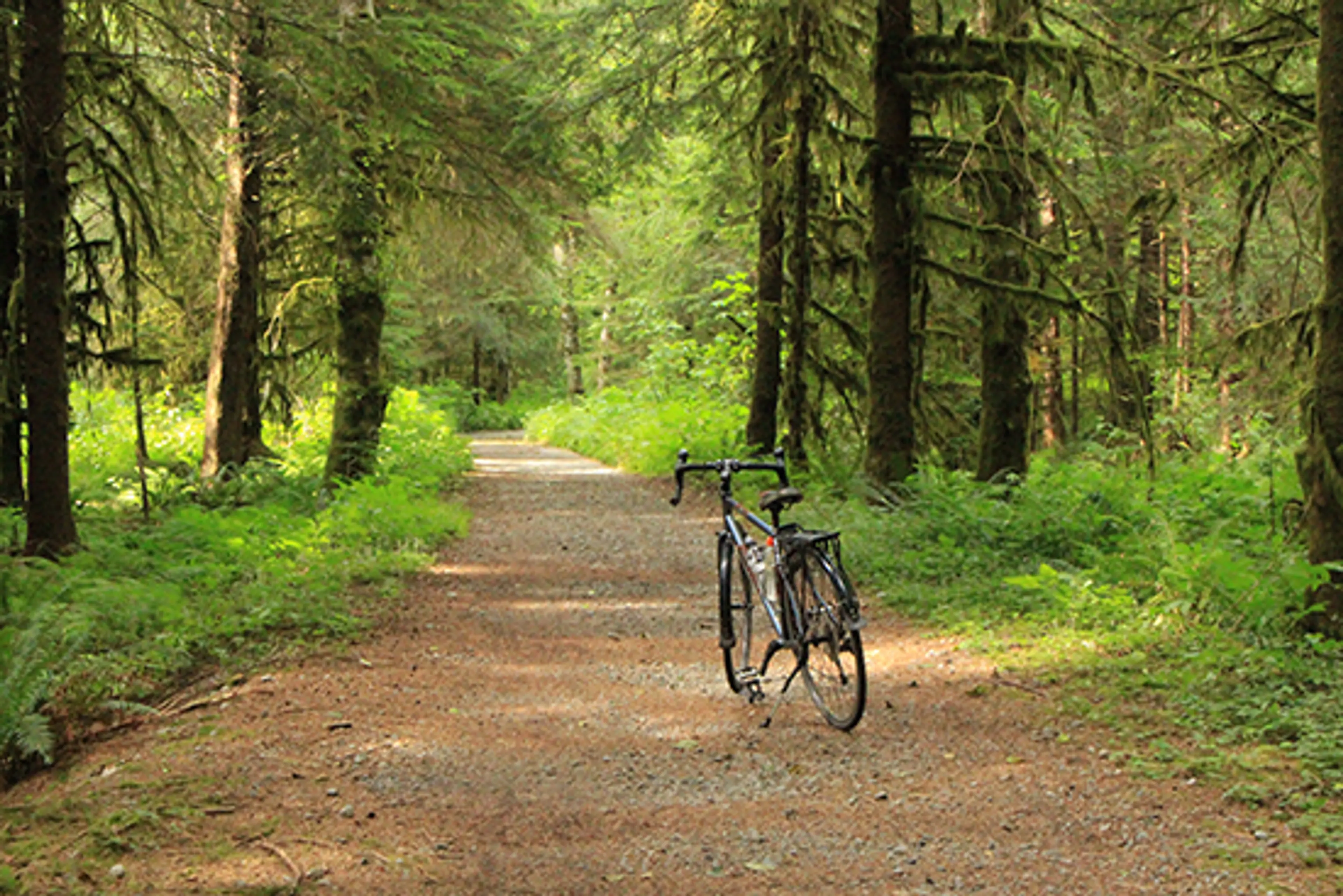 Discover Outdoors Seymour Demonstration Forest7