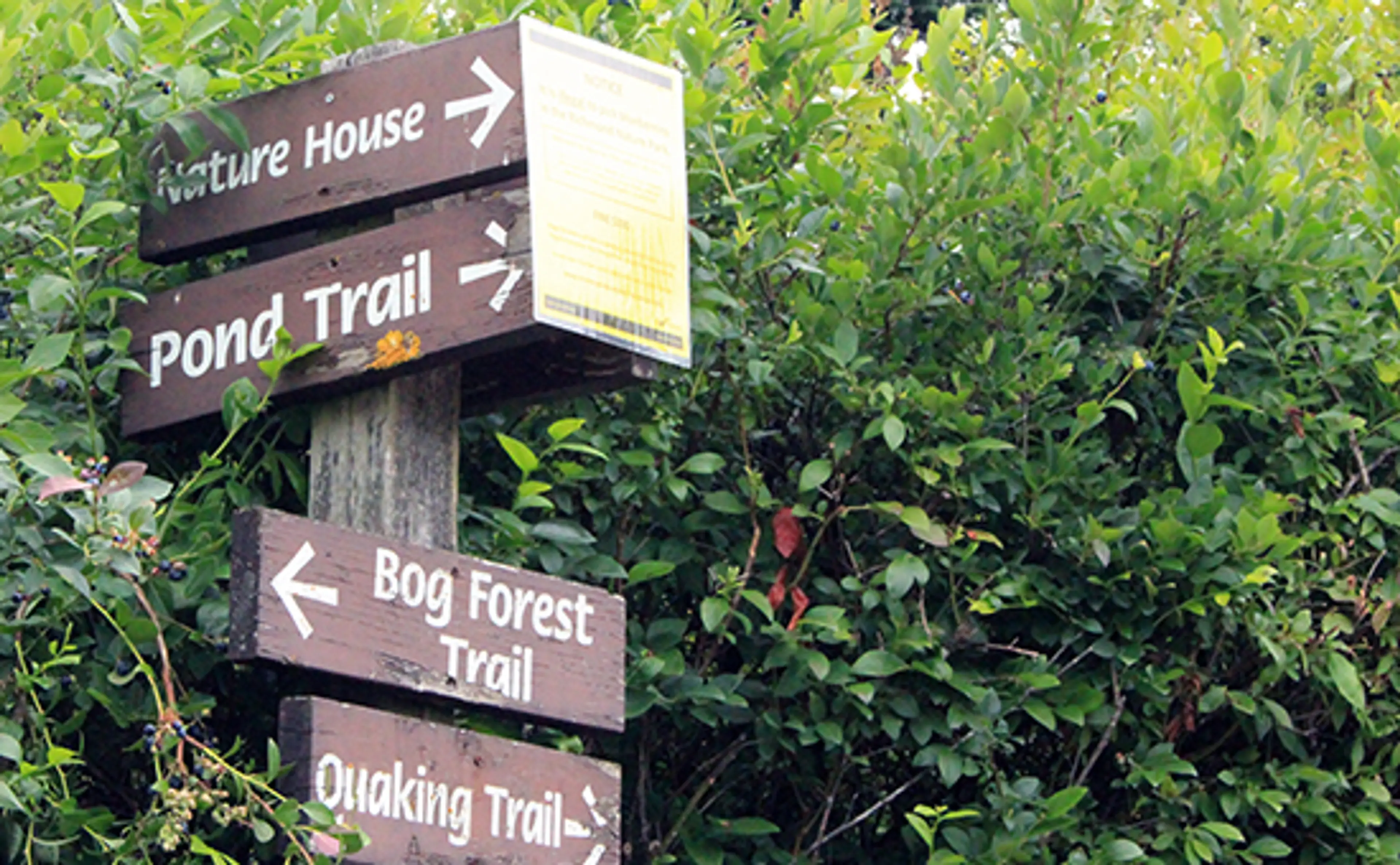 Discover Outdoors Richmond Nature Park6