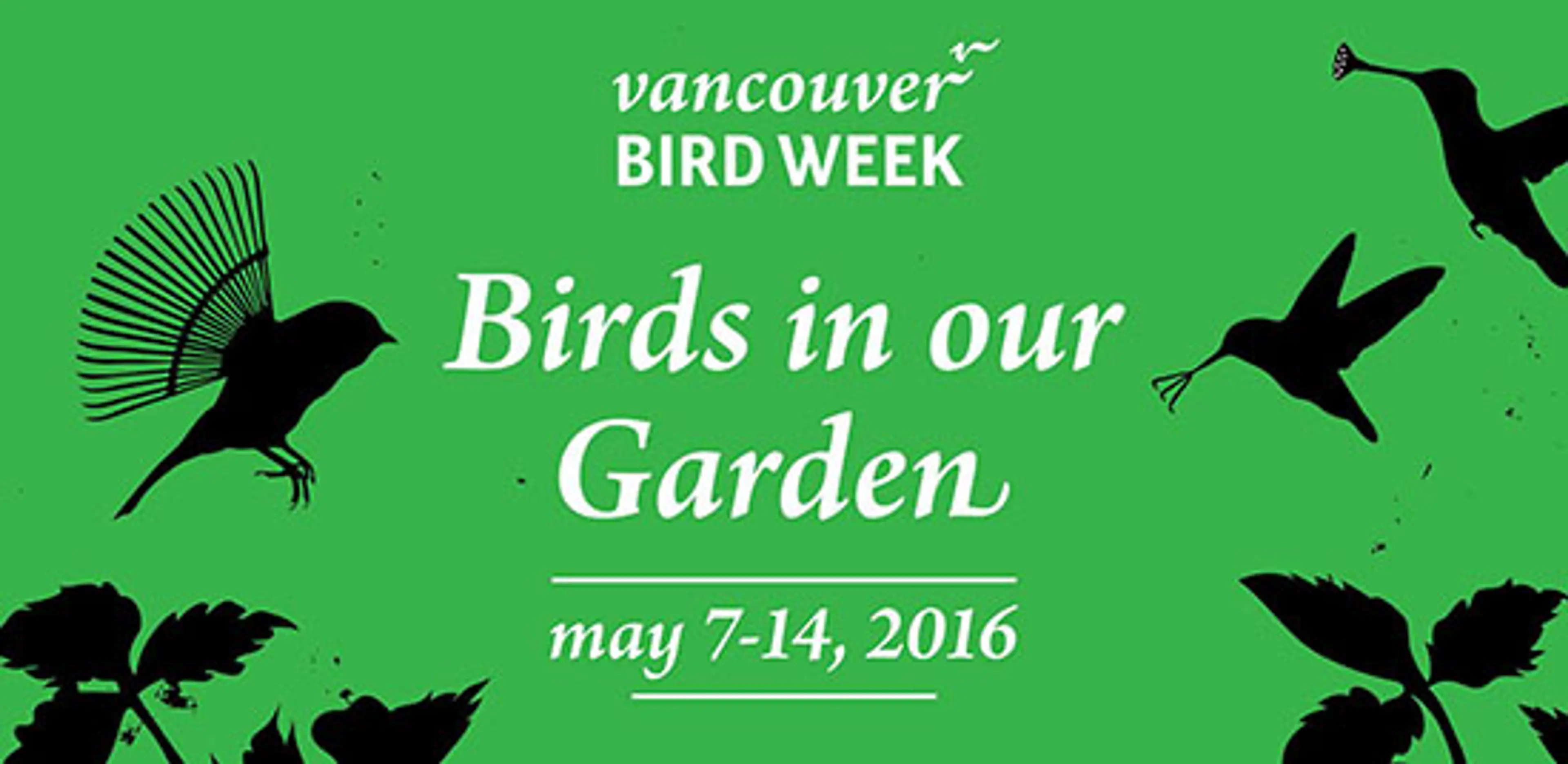 Who’s In your Backyard This Vancouver Bird Week?