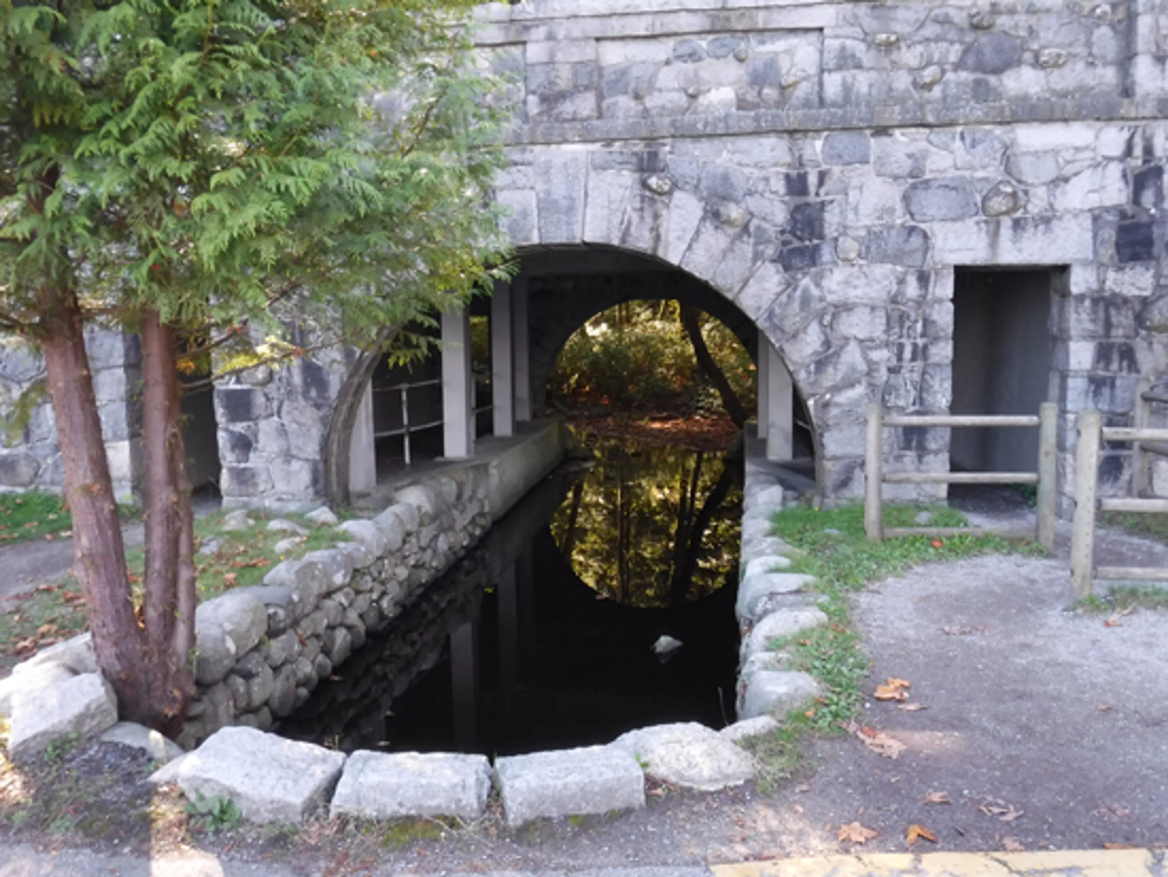 beaver-lake-stanley-park-discover-the-outdoors7