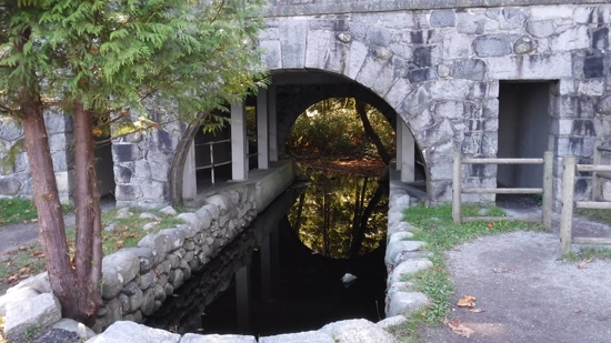 beaver-lake-stanley-park-discover-the-outdoors7
