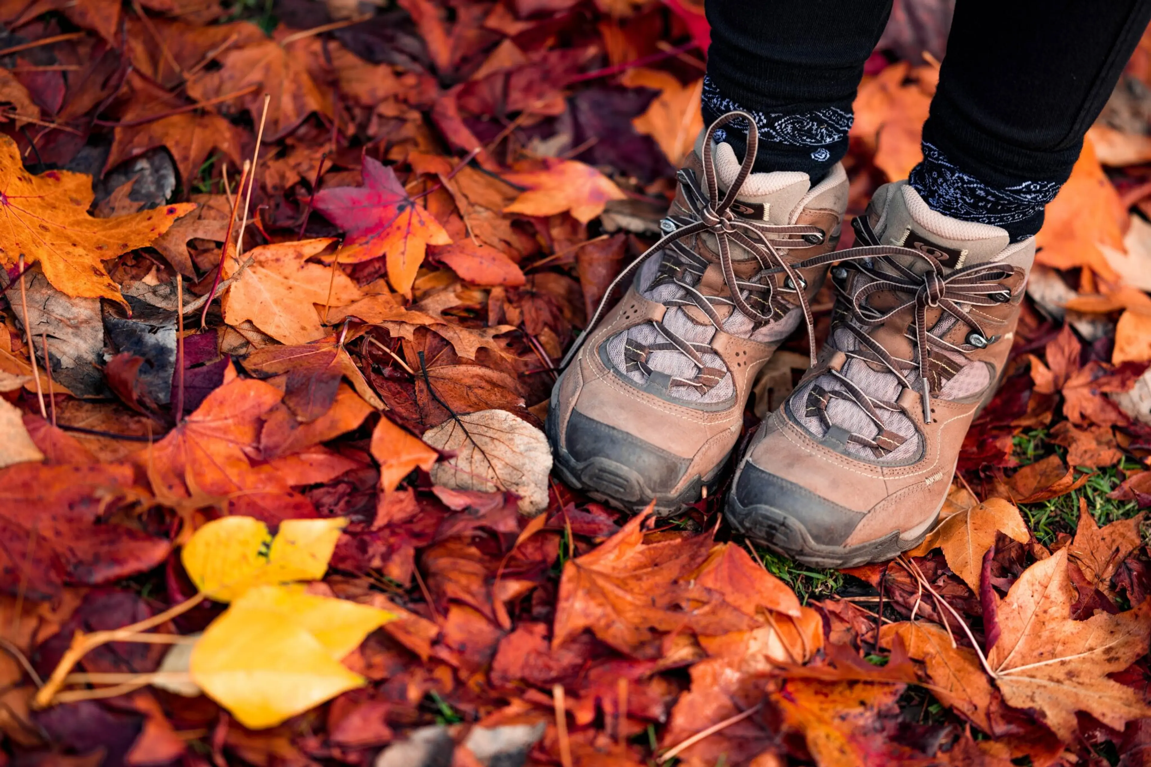 A hiker walks through fall leaves